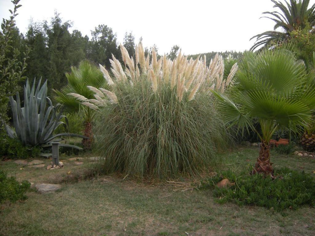 Photo 30