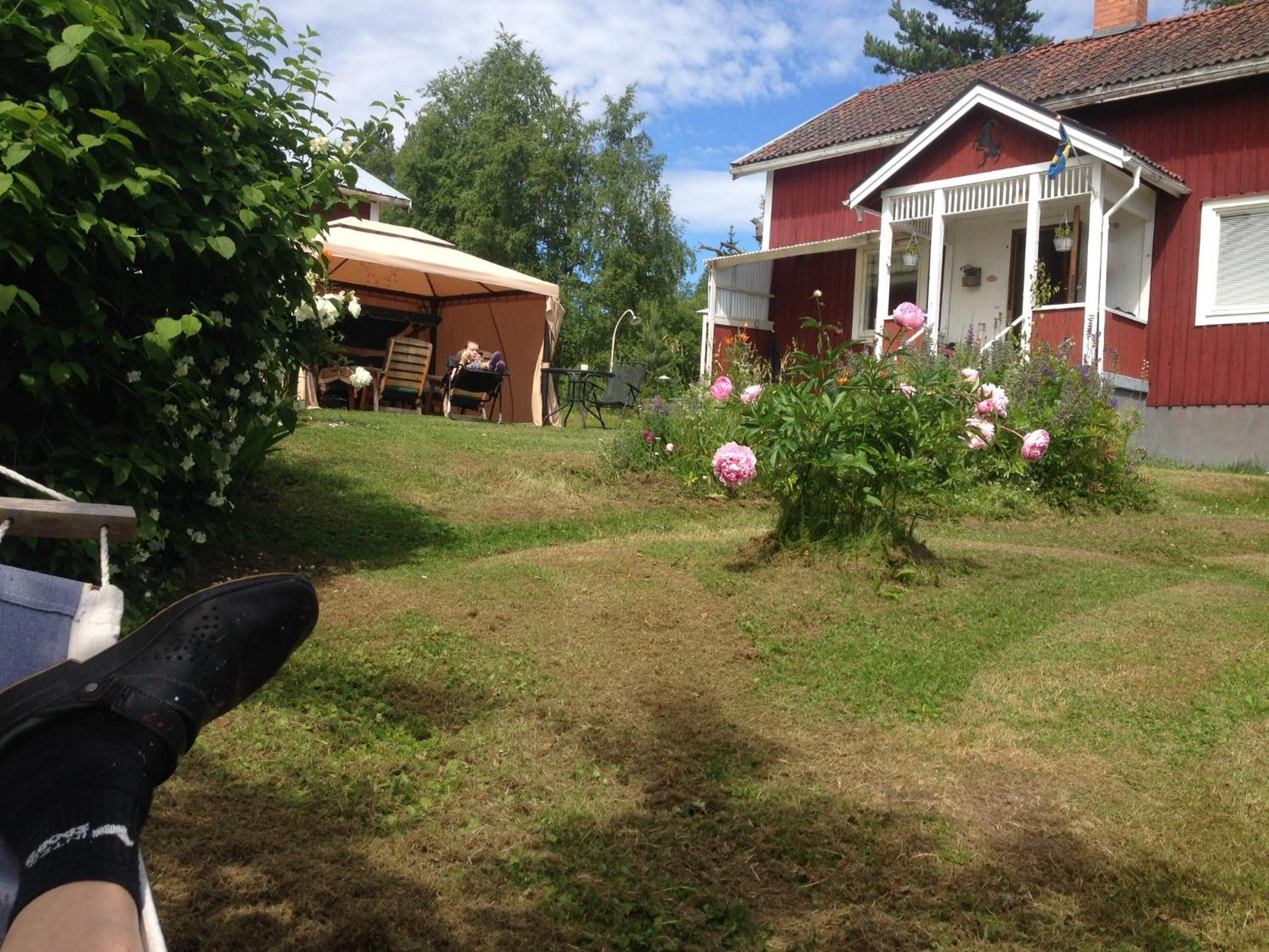 Photo 8