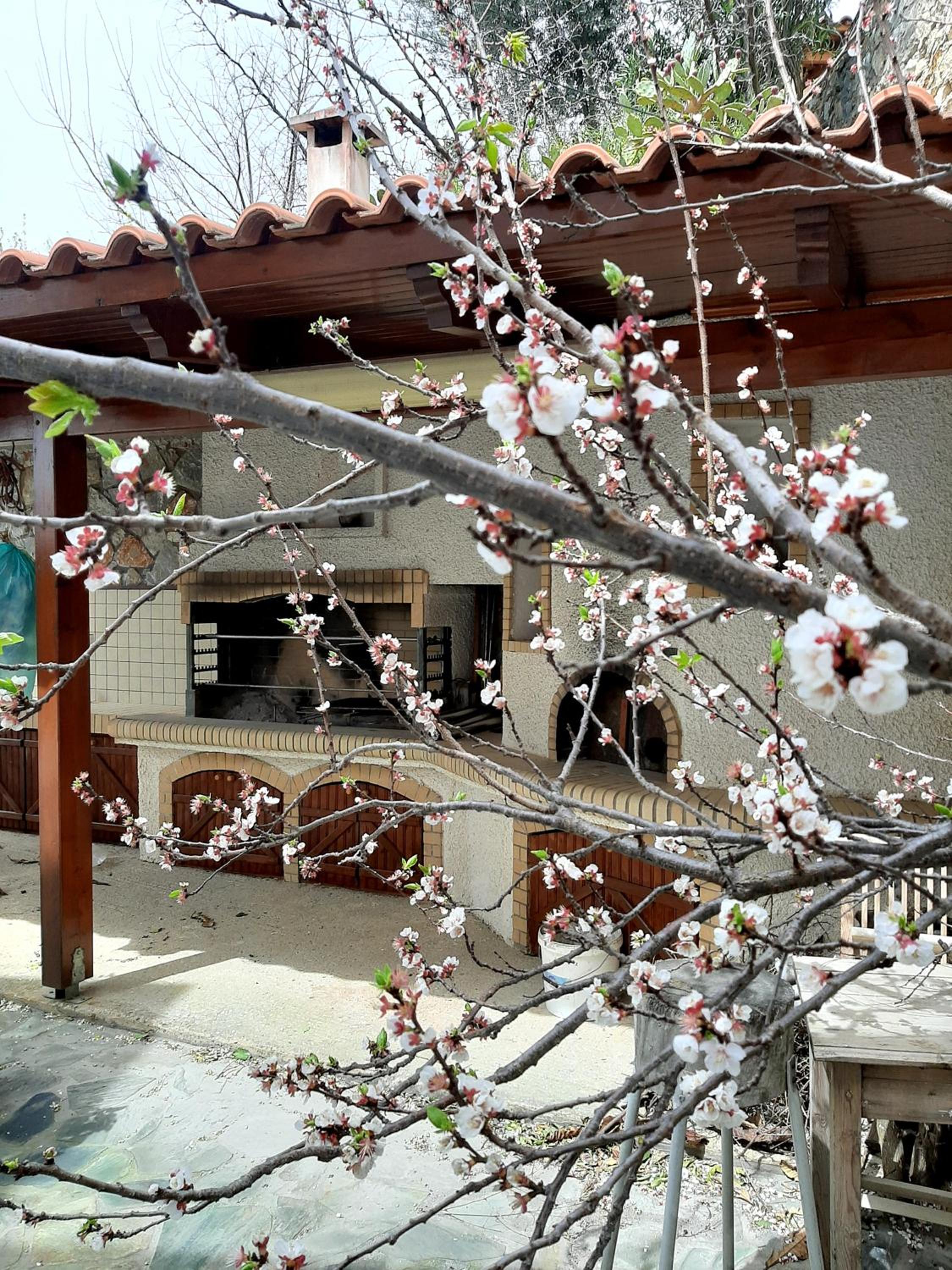 Iro's House