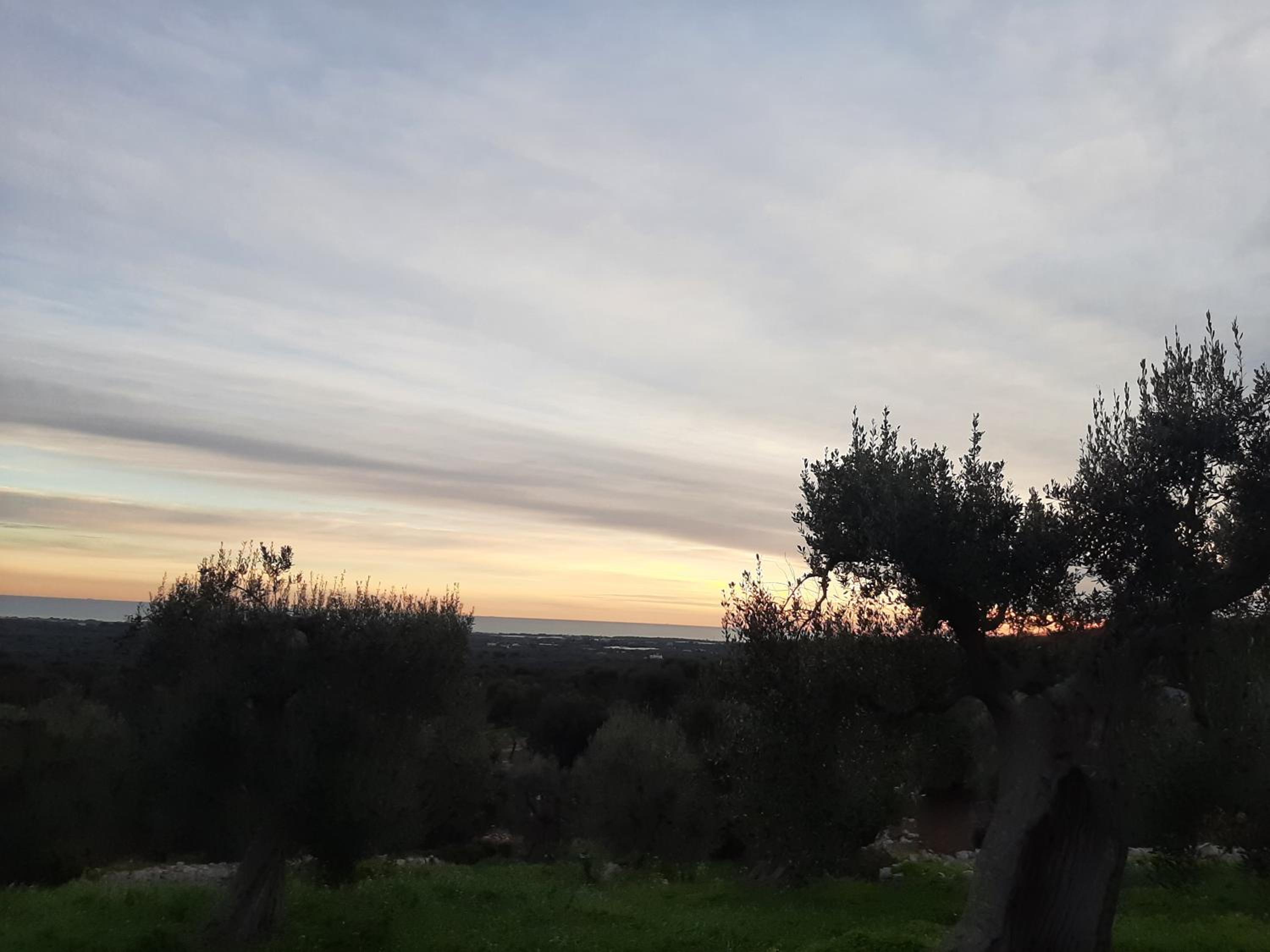 Alla Panoramica