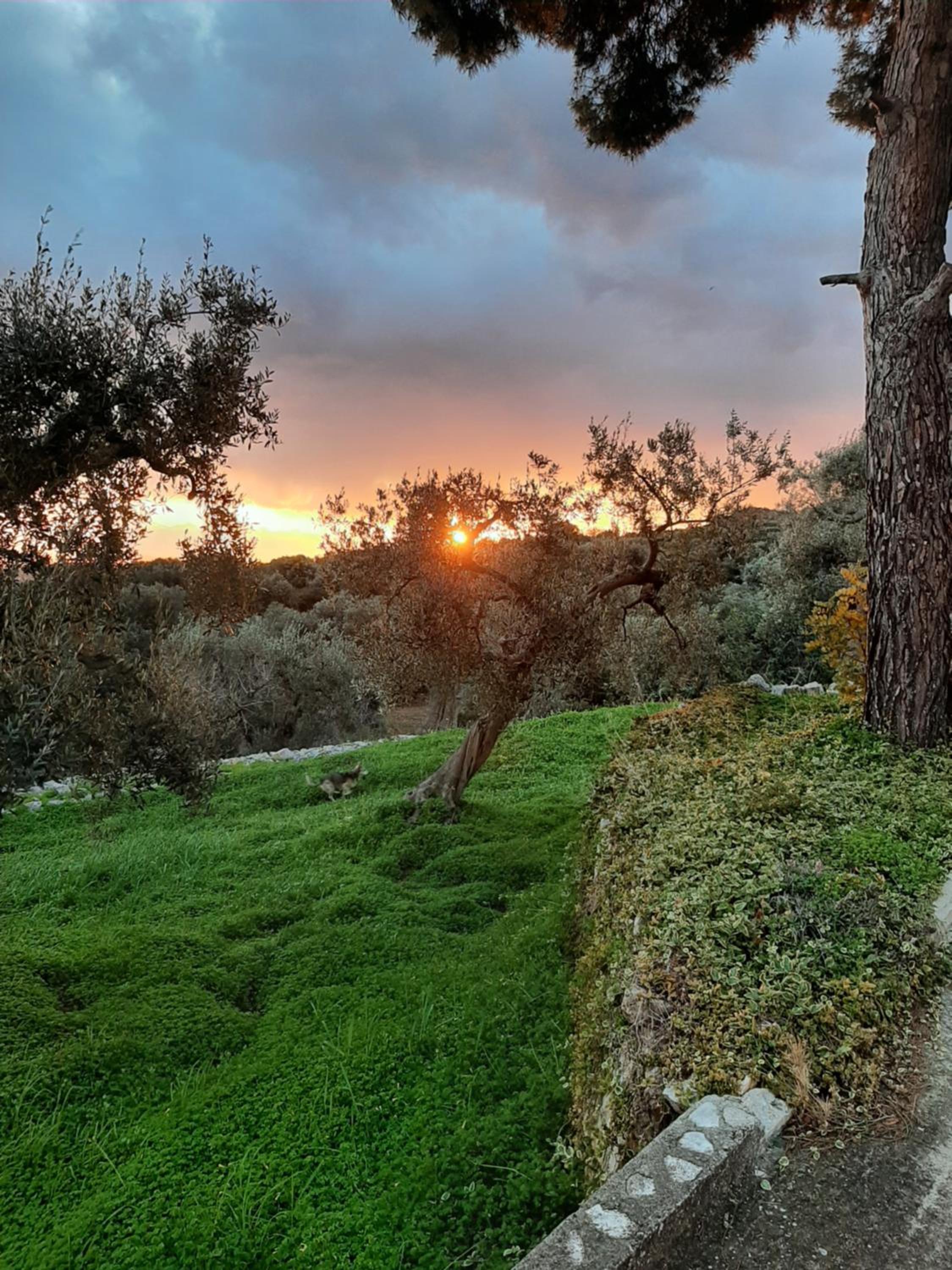Alla Panoramica