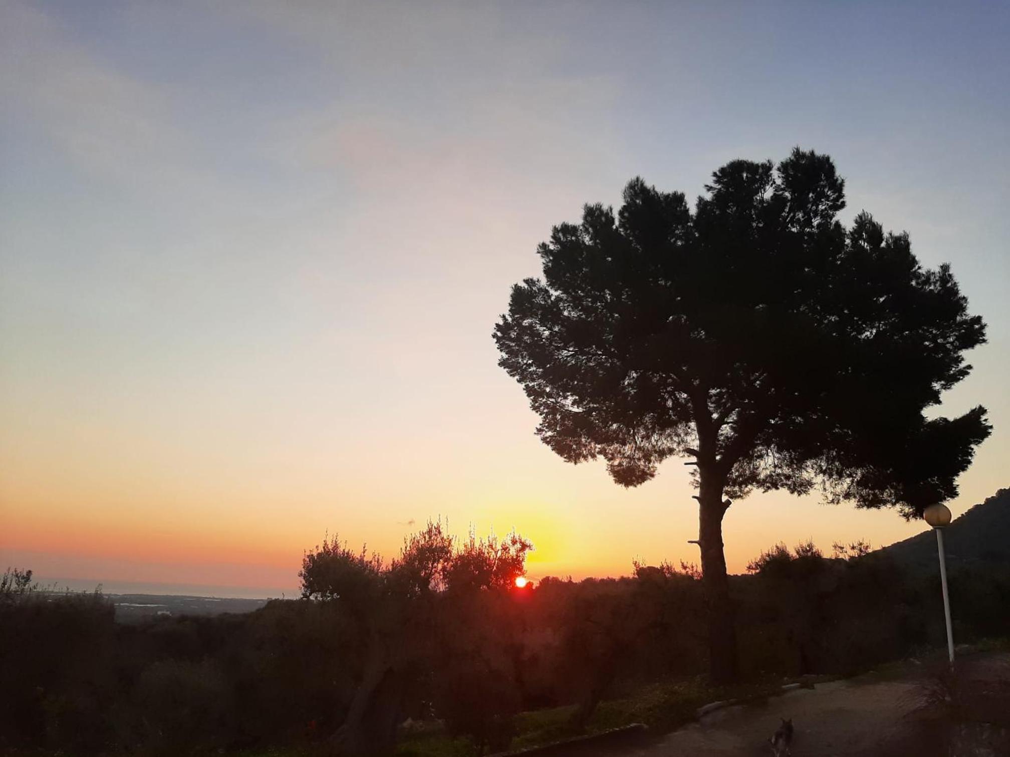 Alla Panoramica
