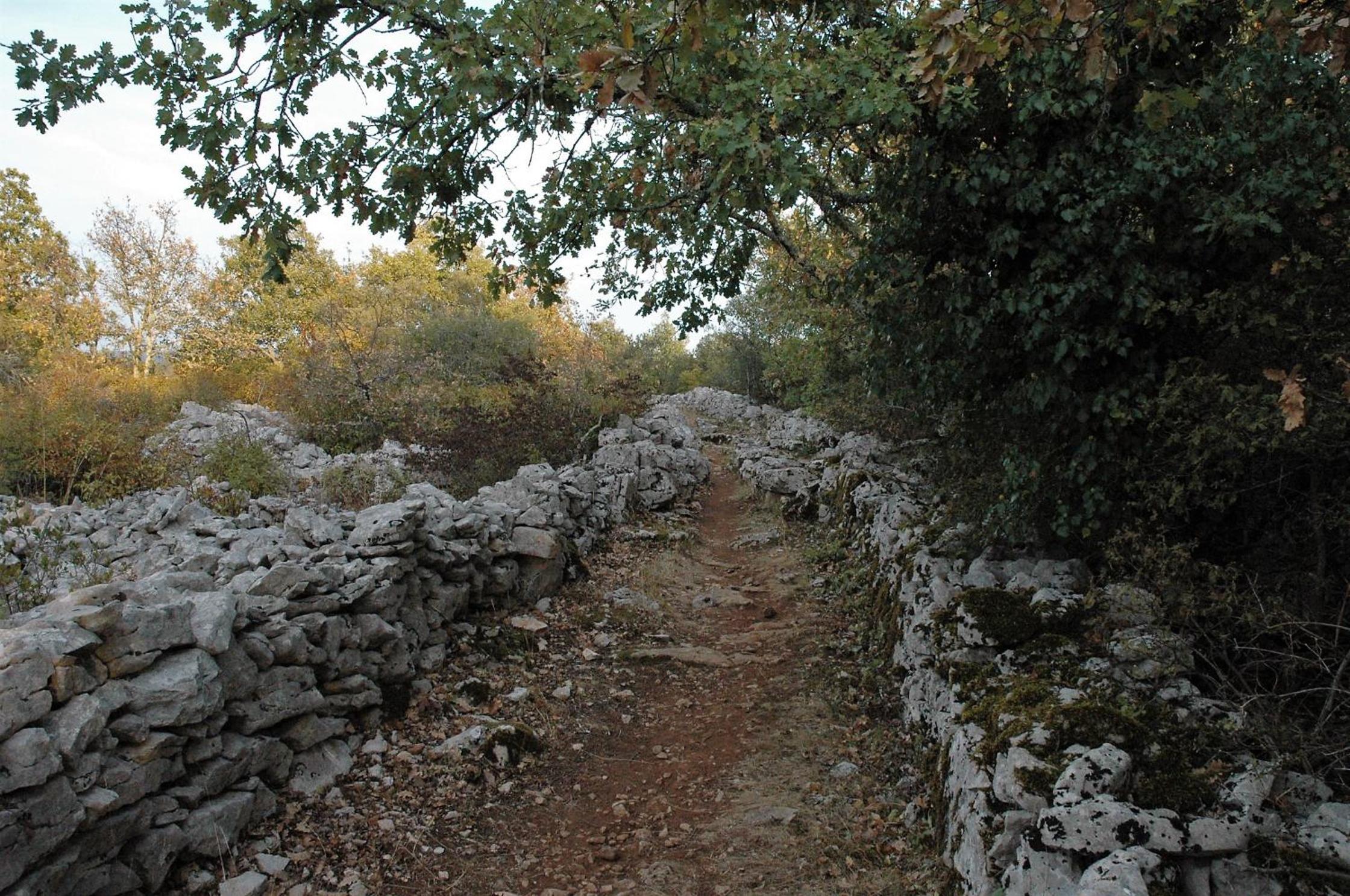 La Farigoule - Property Image 20