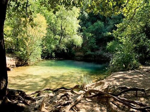 La Farigoule - Property Image 31