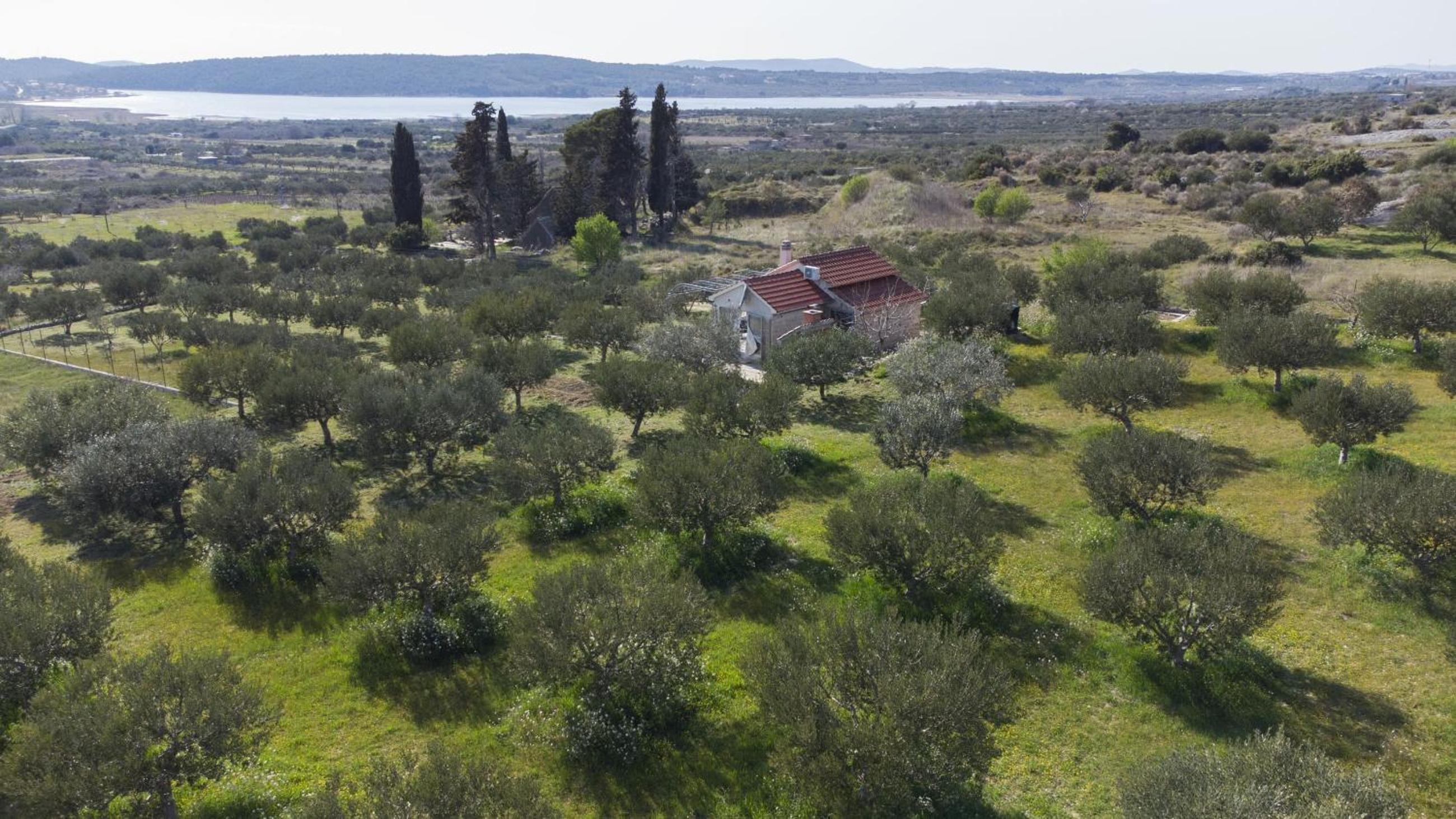 Holiday home Olive view 5