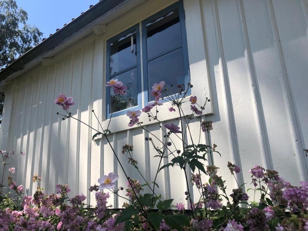 Seaside Cottage Haga Park view 4