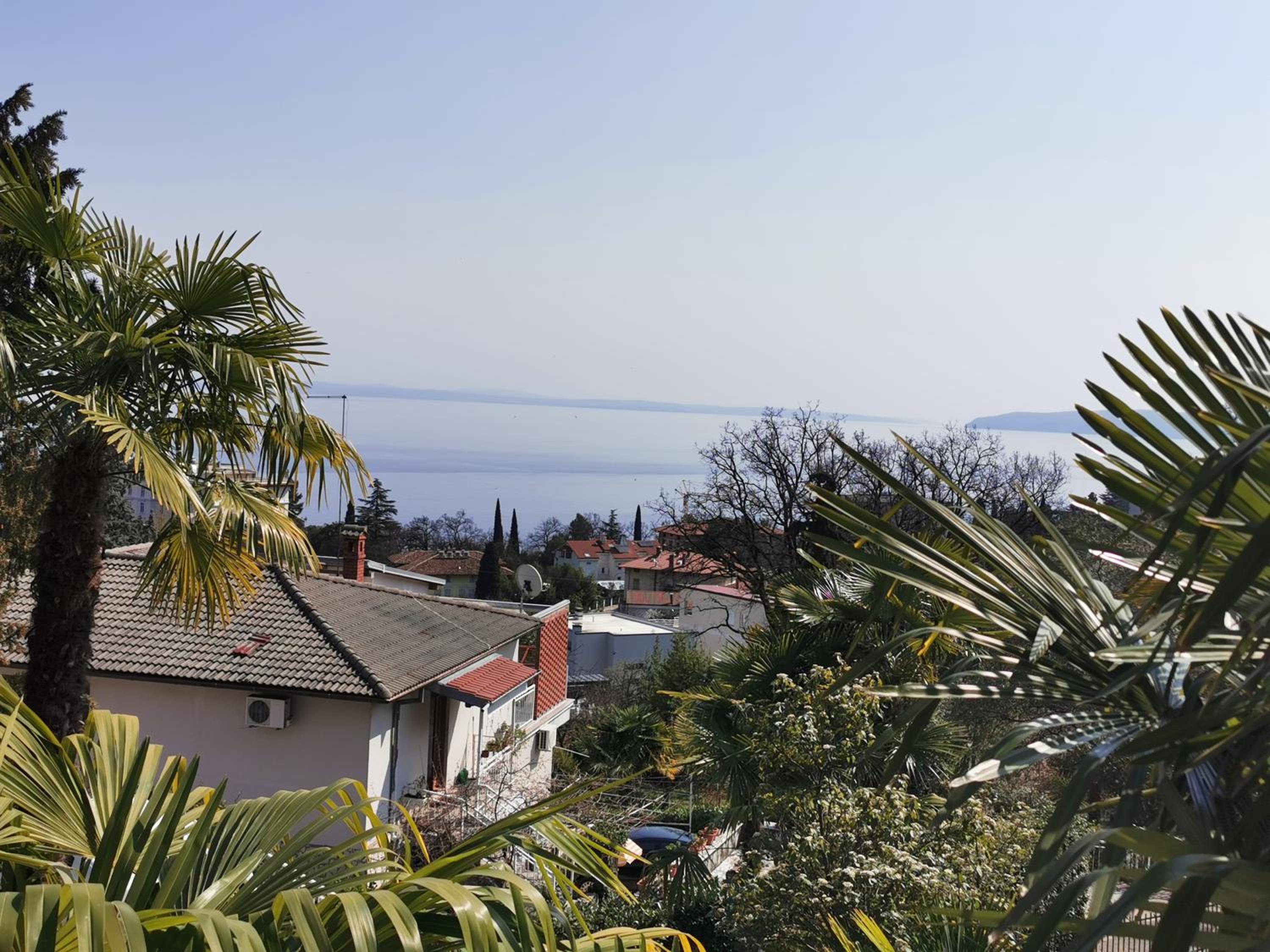 Penko view 4