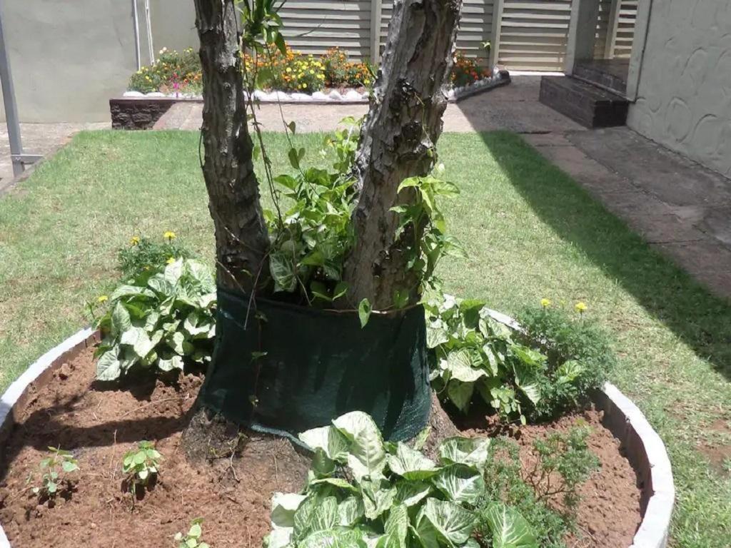 Photo 49