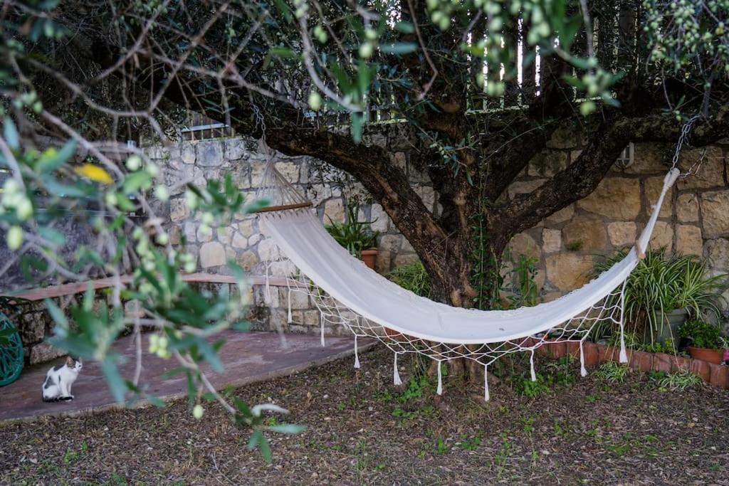 Dreamy Wooden Cottage Lixouri photo 3