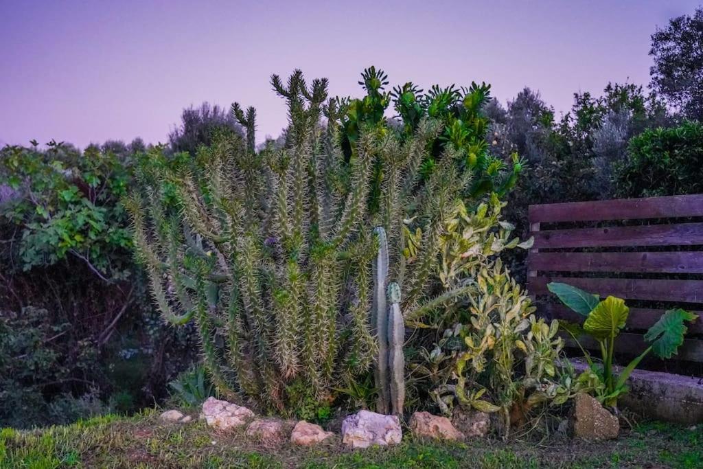 Dreamy Wooden Cottage Lixouri photo 2