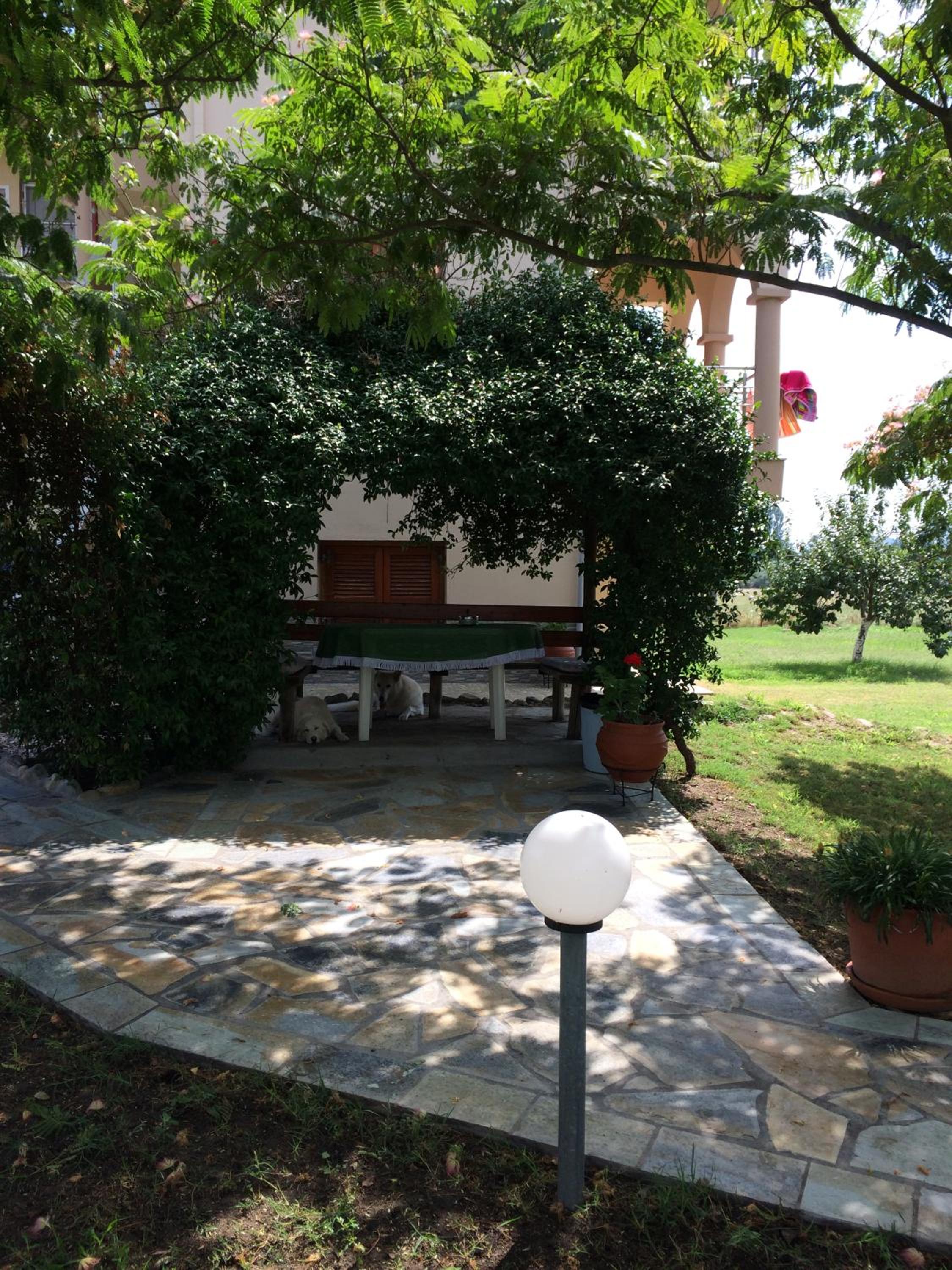 Photo 21
