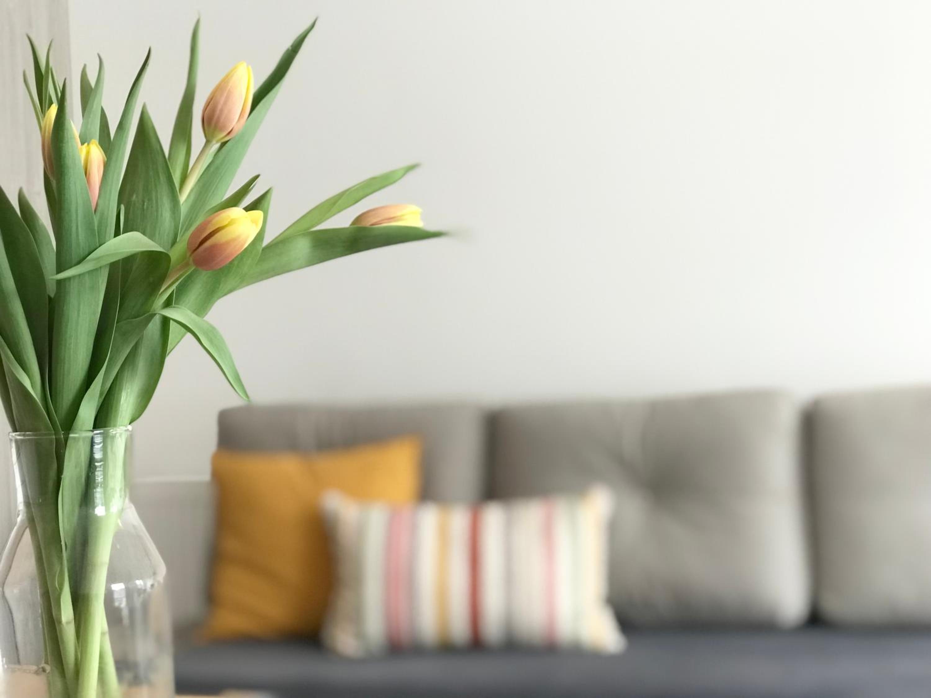 Apartament Czechowska Luxury view 3