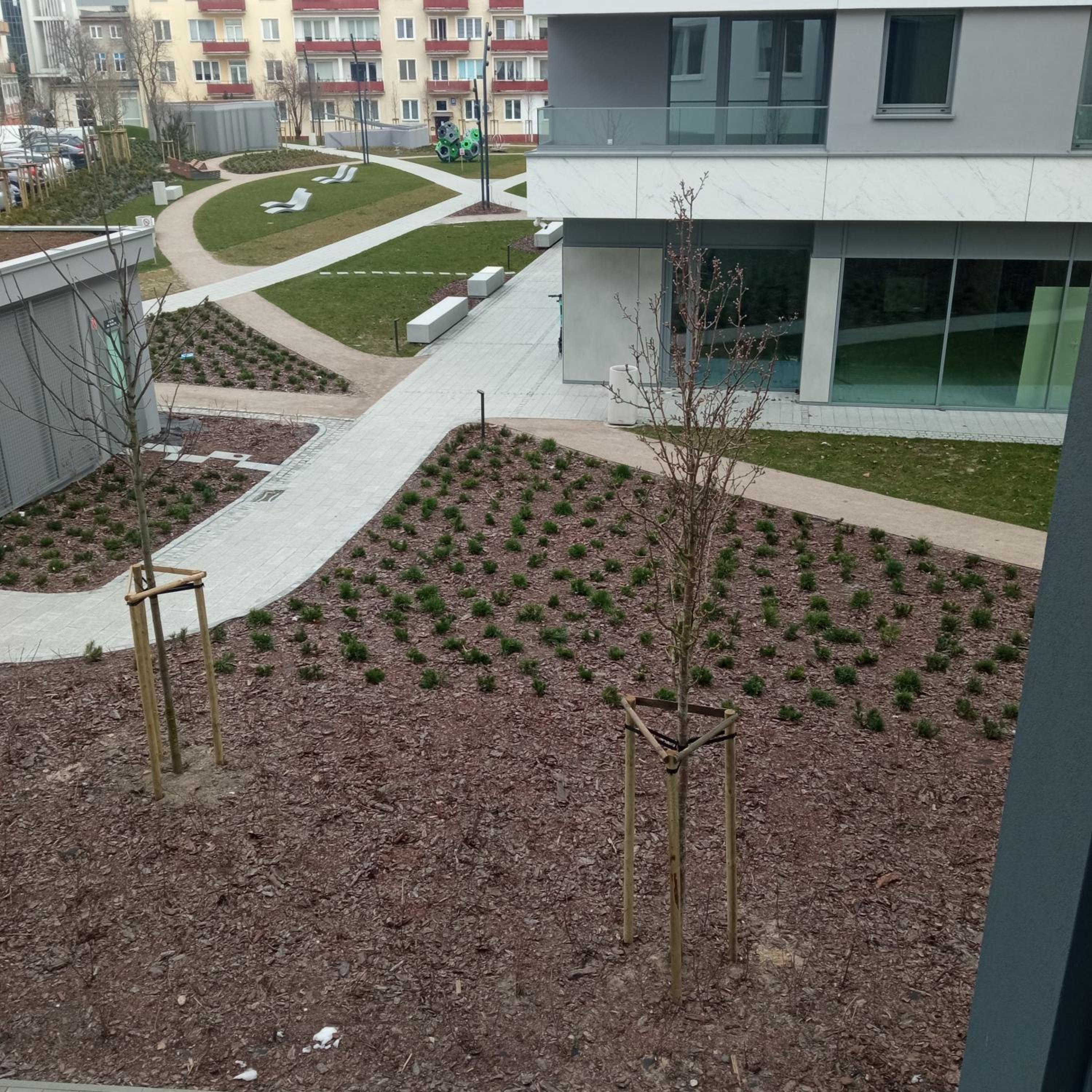 Apartament GRUBA RYBA view 4