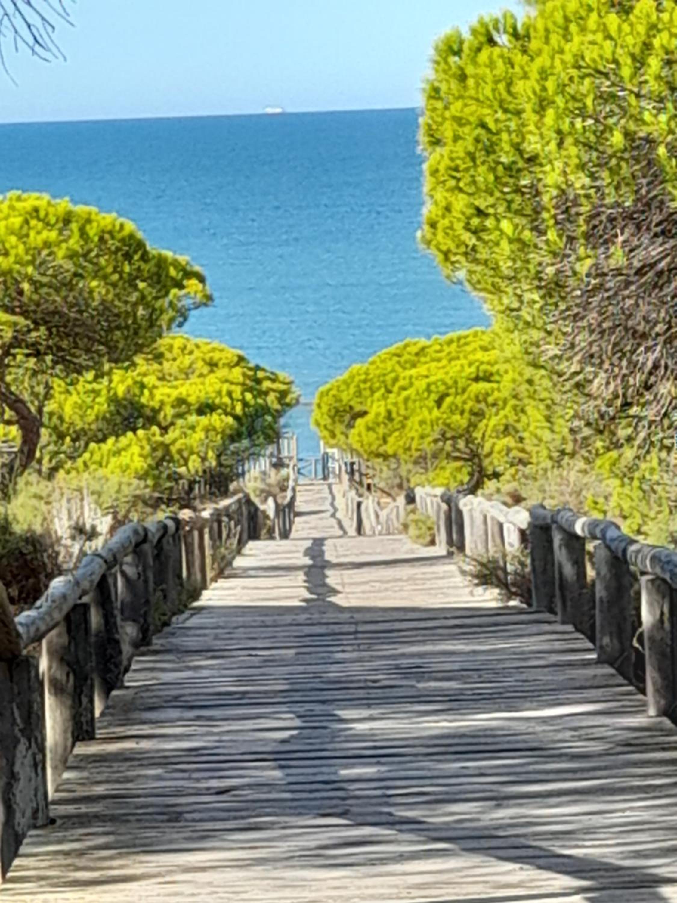 VERDEPLAYA photo 2