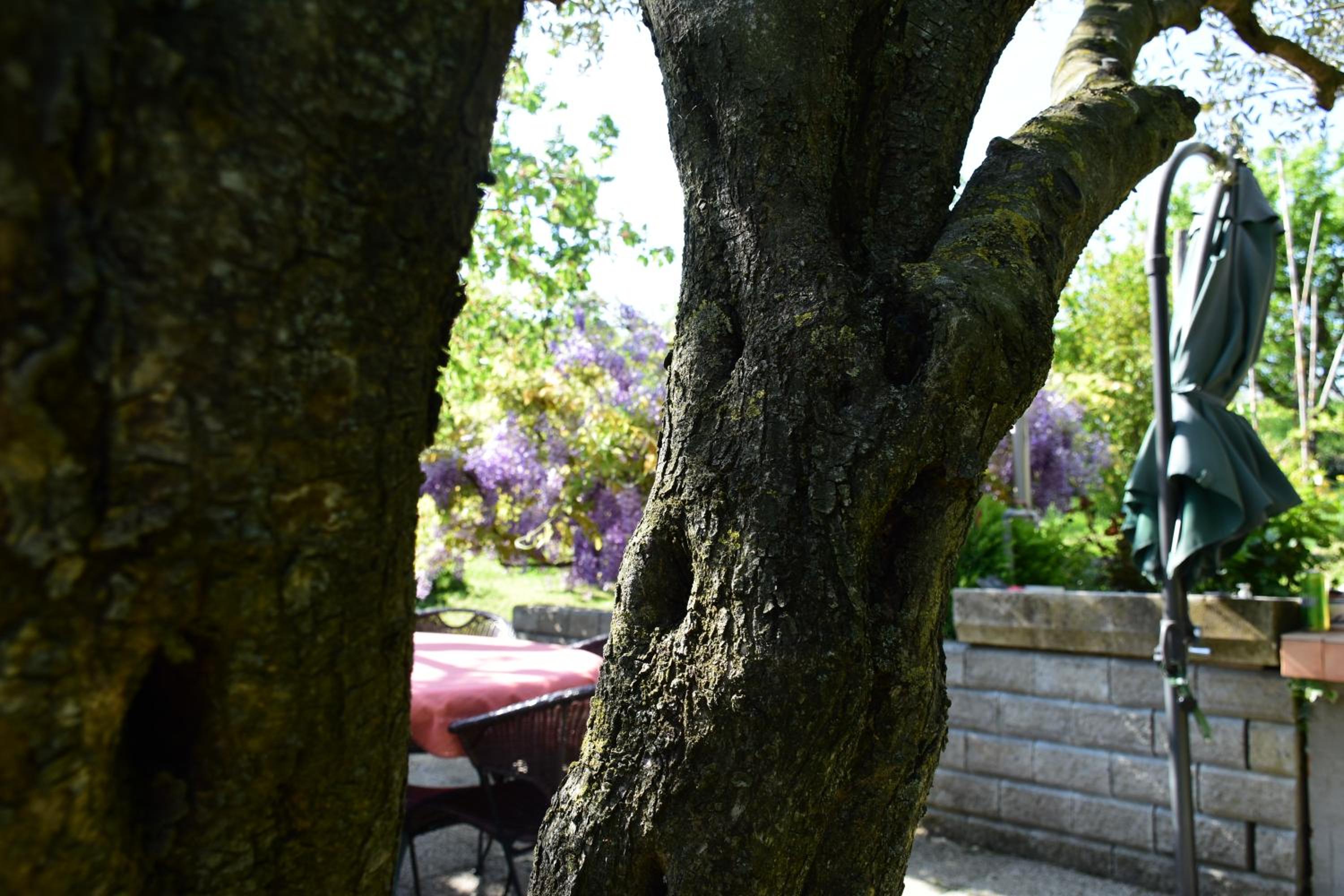 Photo 33
