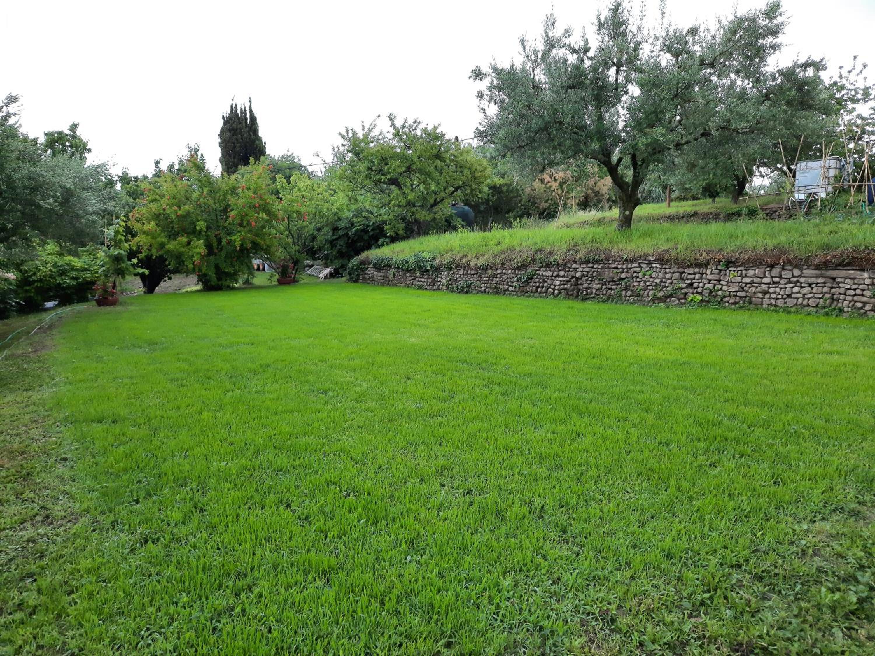 Photo 35