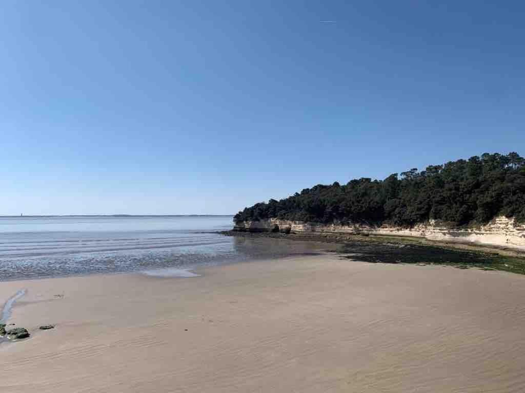 LA CABANE DE L'ESTUAIRE chambres d'hôte view 5
