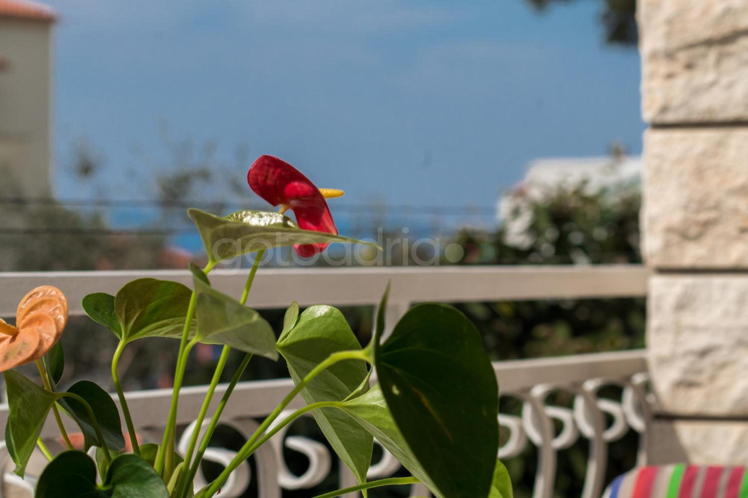 Photo 49