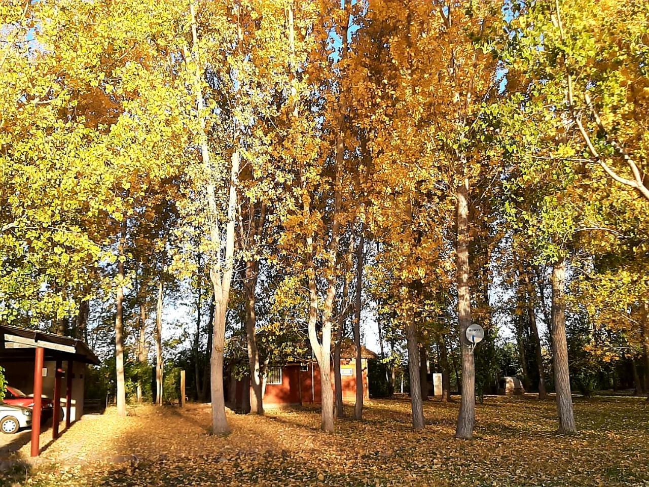 Casa de Campo Don Luis