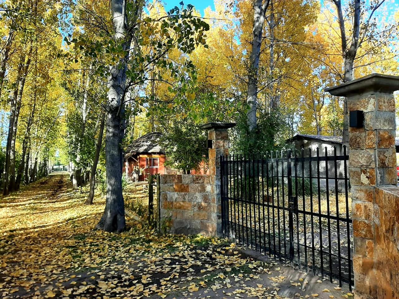 Casa de Campo Don Luis