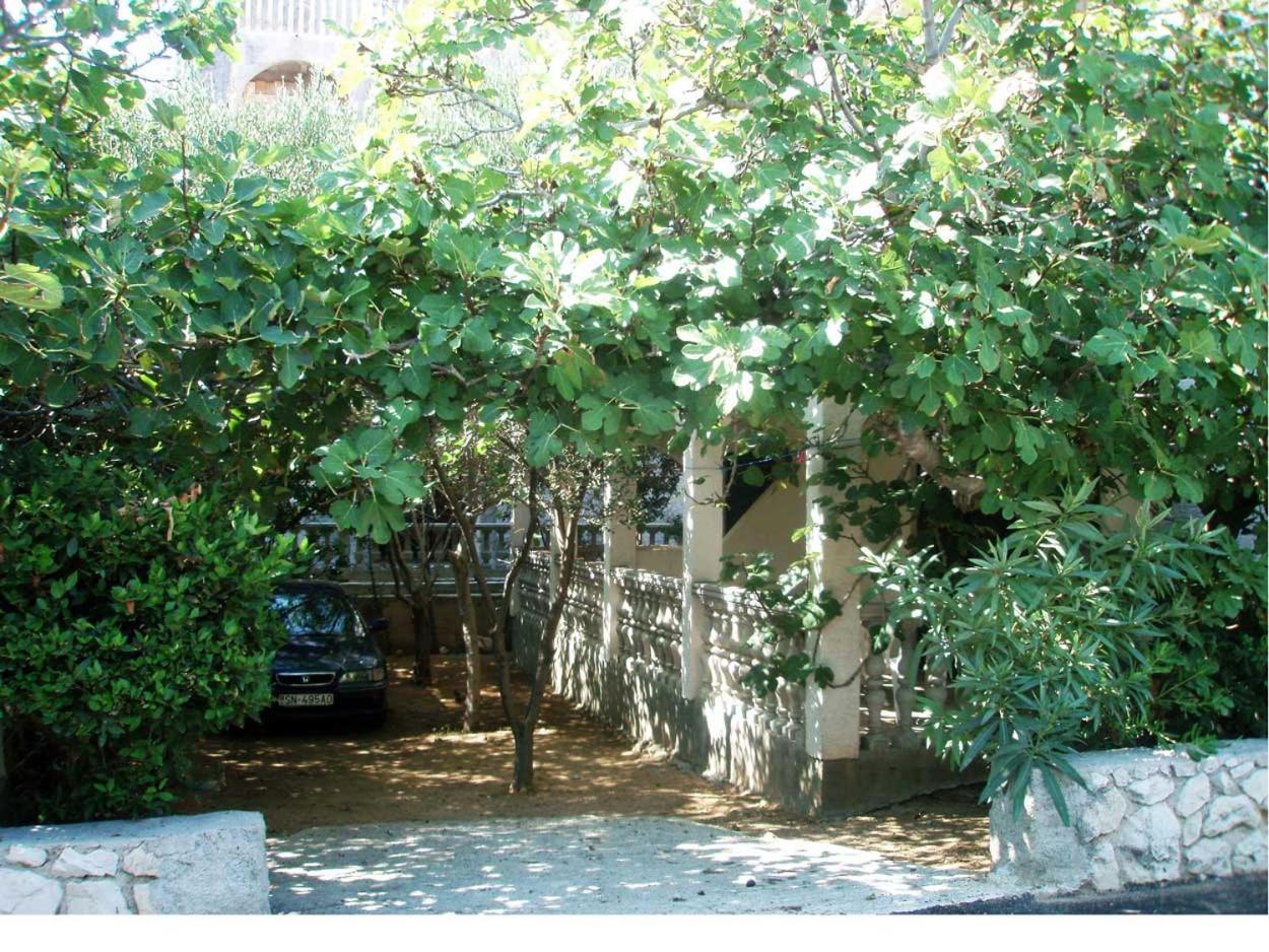 Photo 24