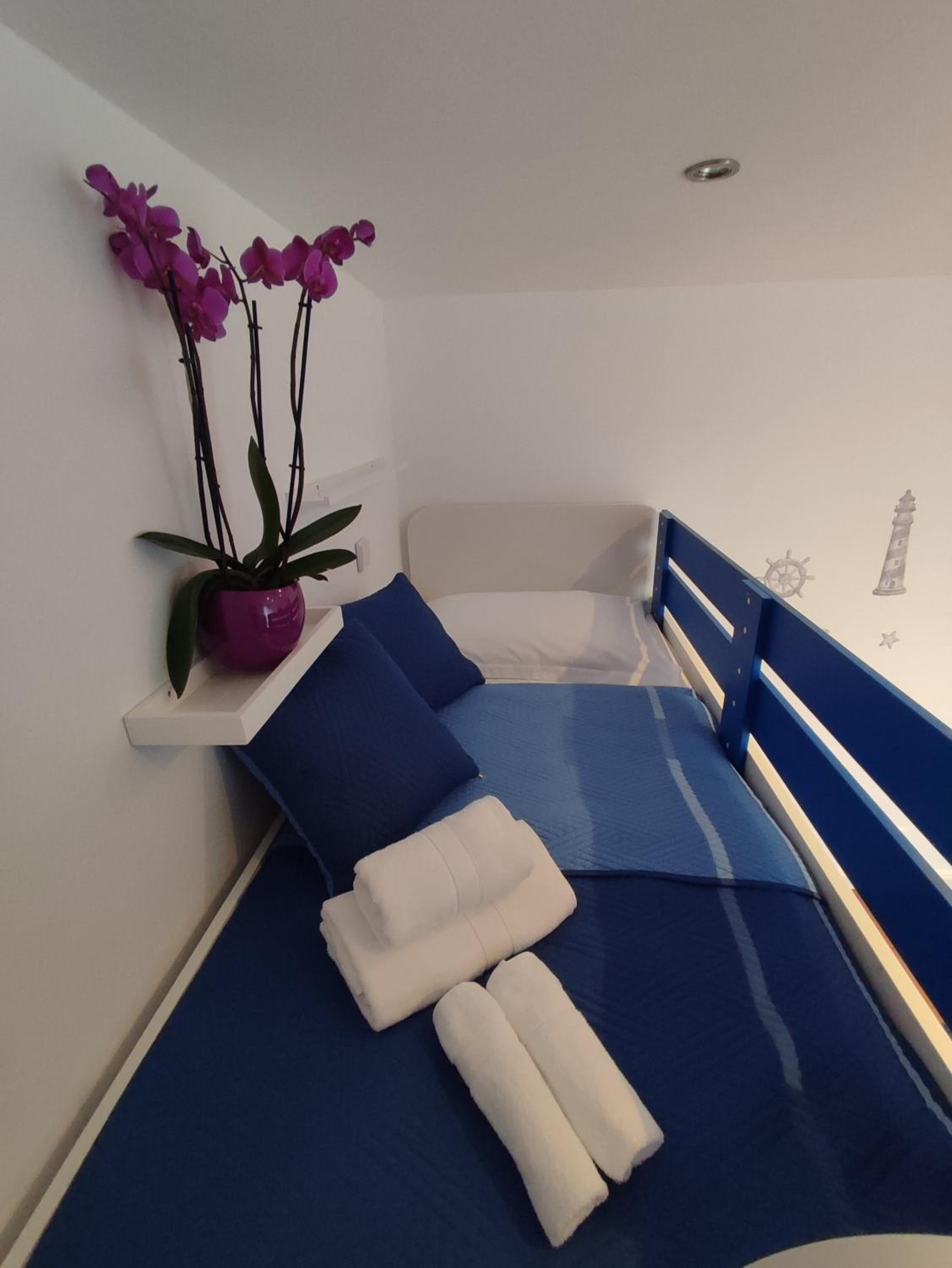 Apartment Petar photo 5