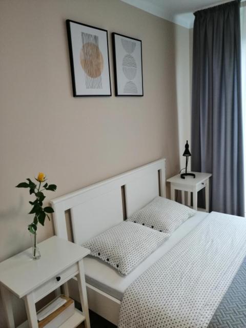Apartament Alga Zator view 3