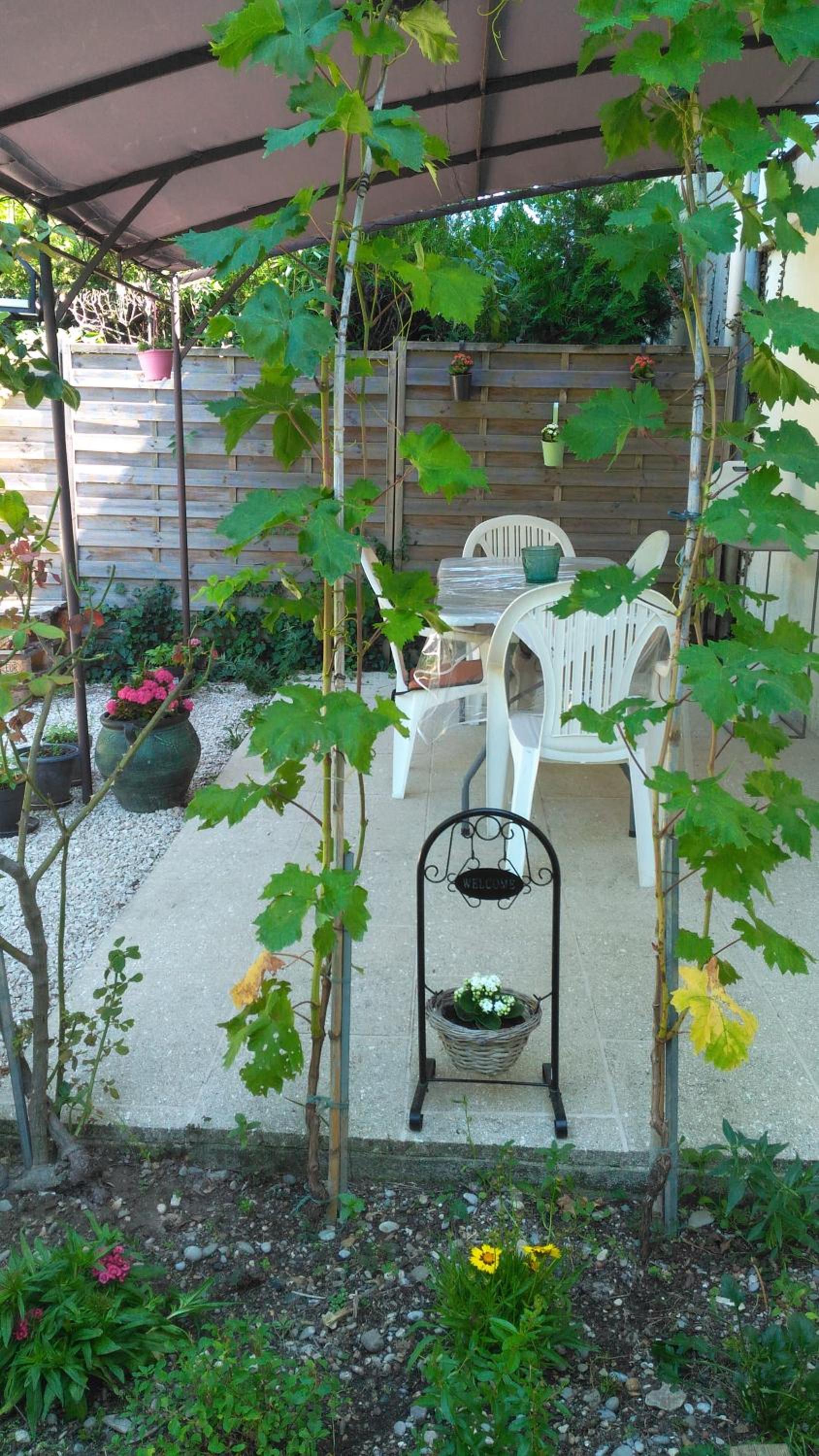 Photo 21