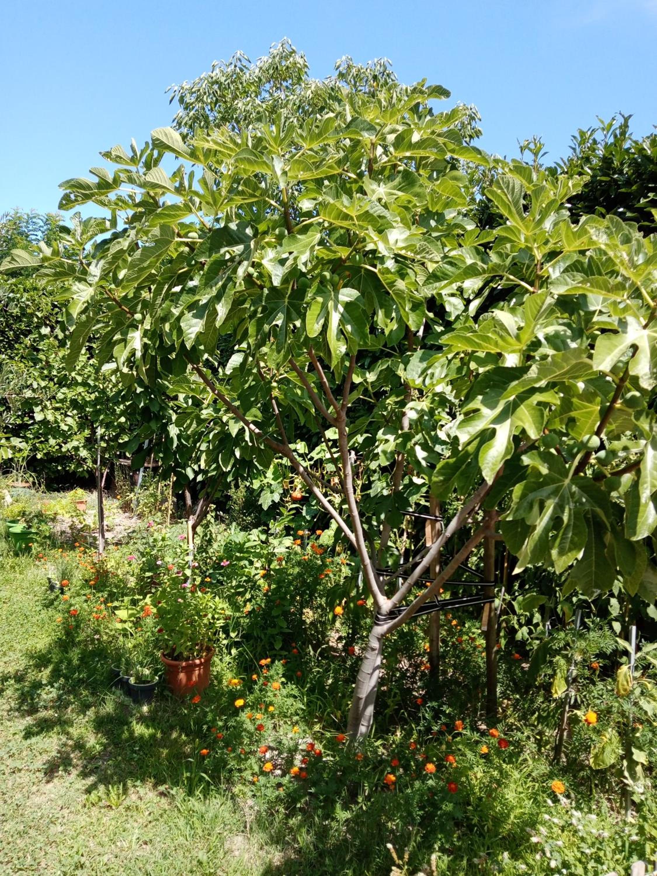 Photo 23