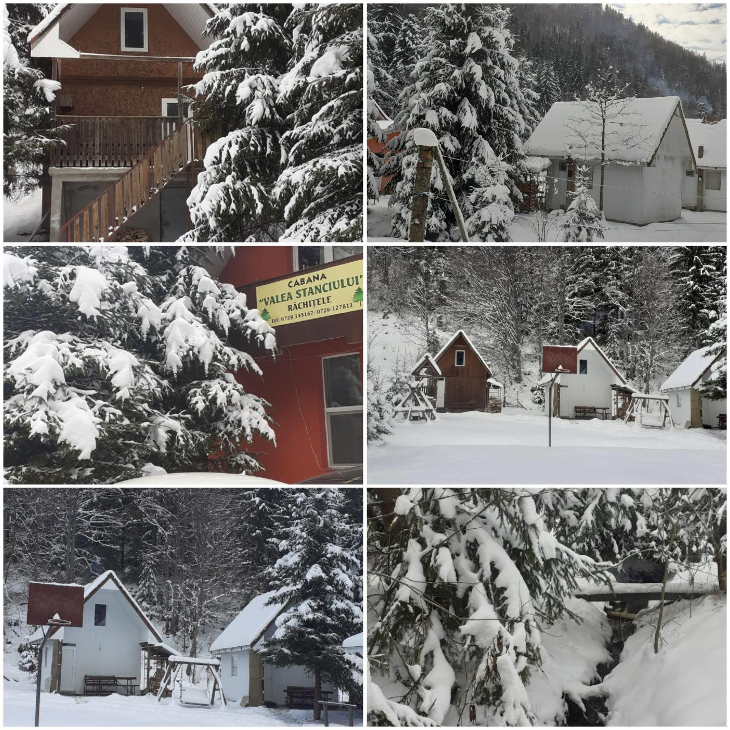 Cabana Valea Stanciului