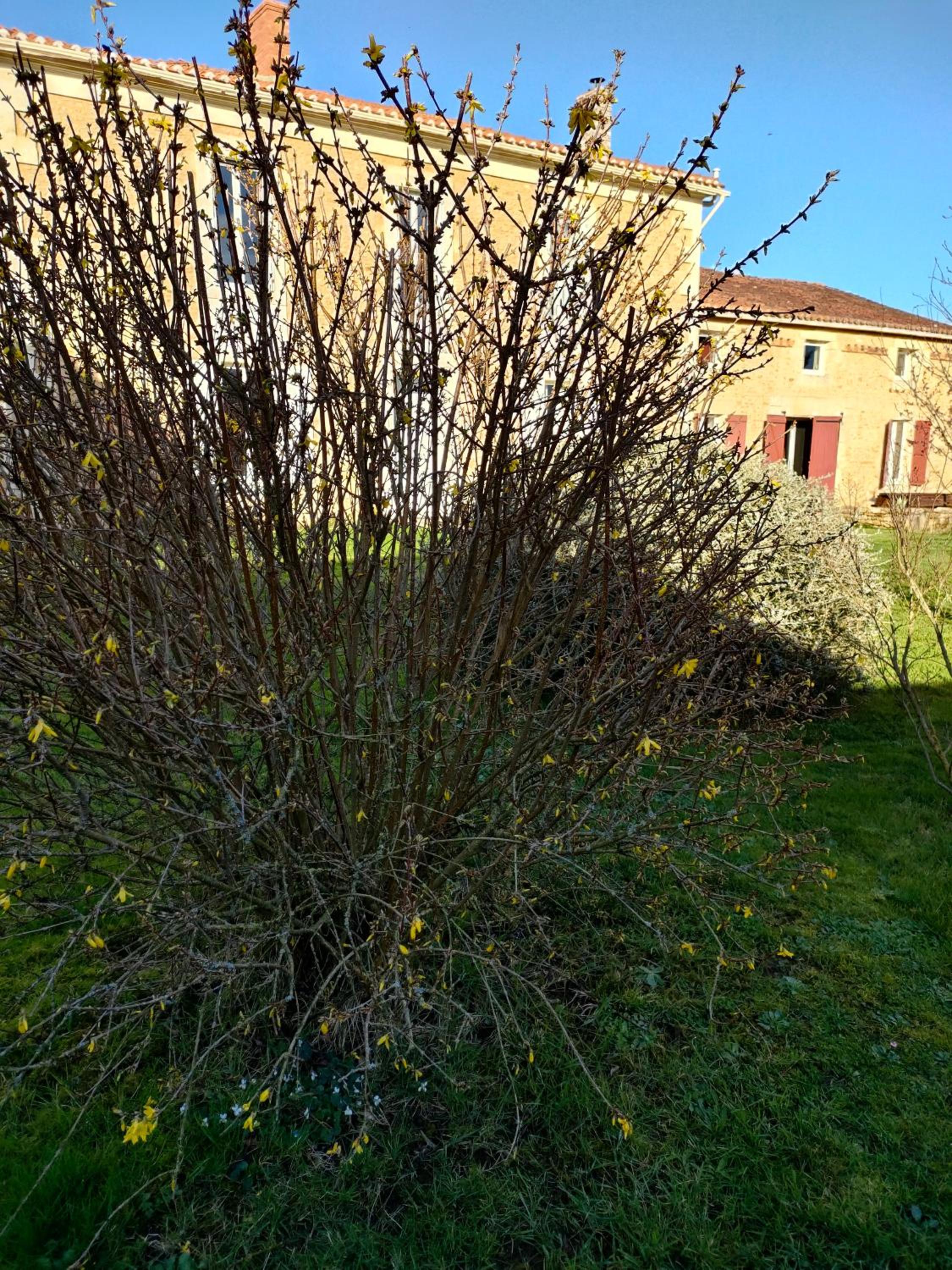 Photo 15