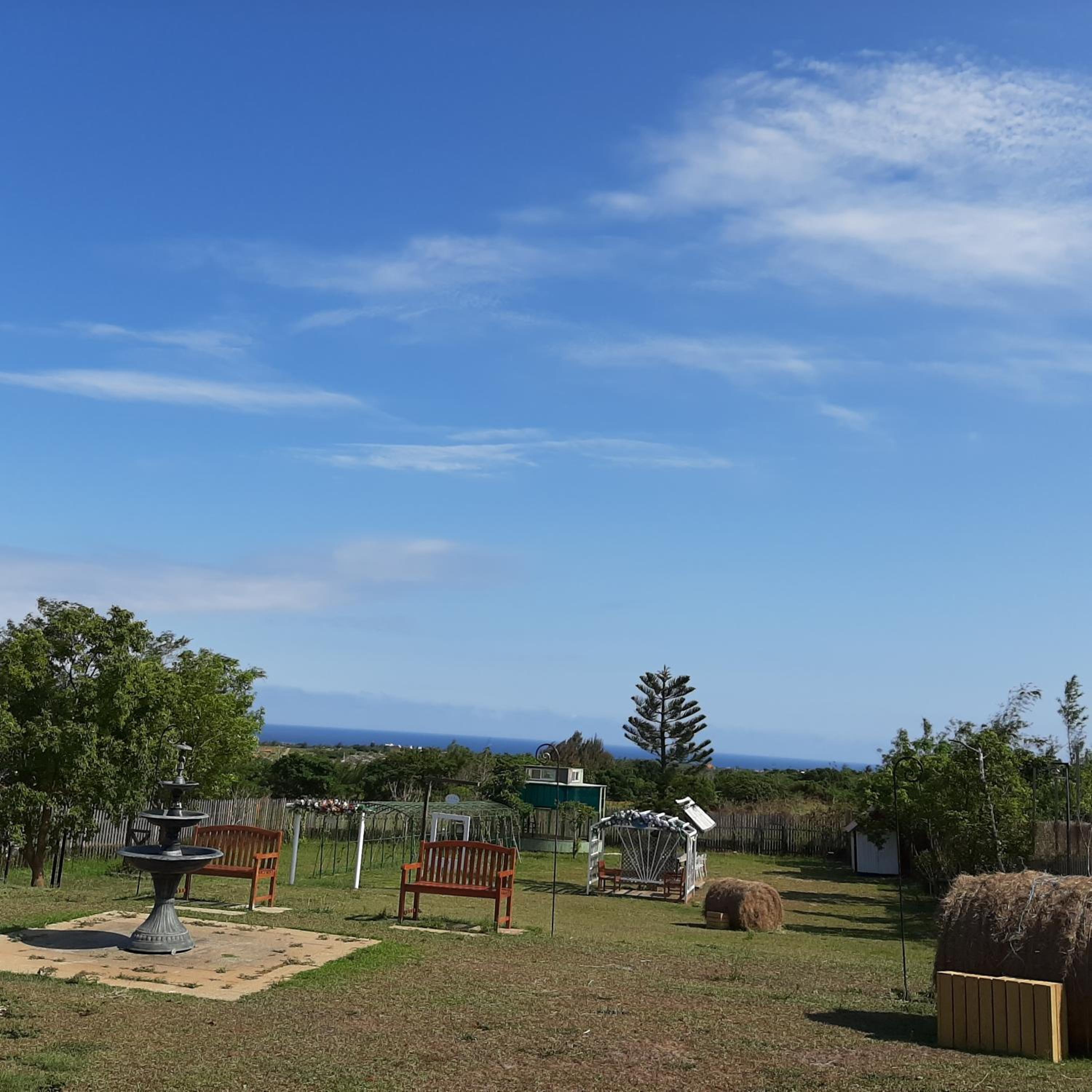 Kenting Forget-Me-Not Castle Manor