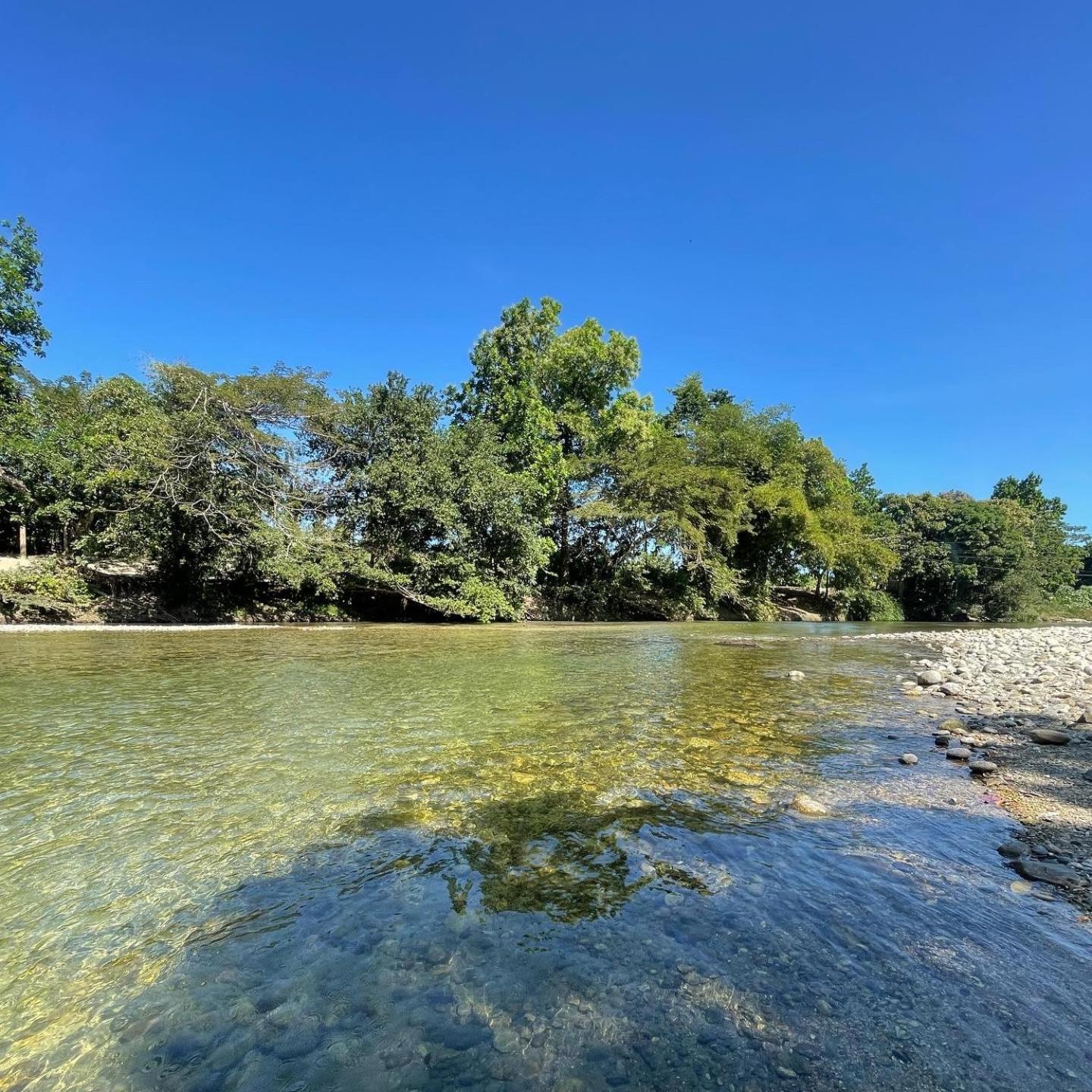 EcoHostal Palmares Del Rio
