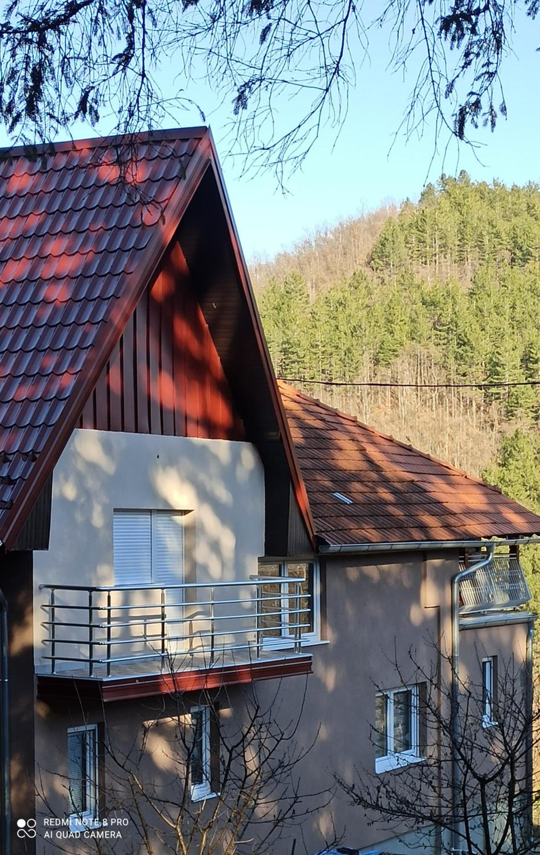 Guest House Vila Aleksa-apartman