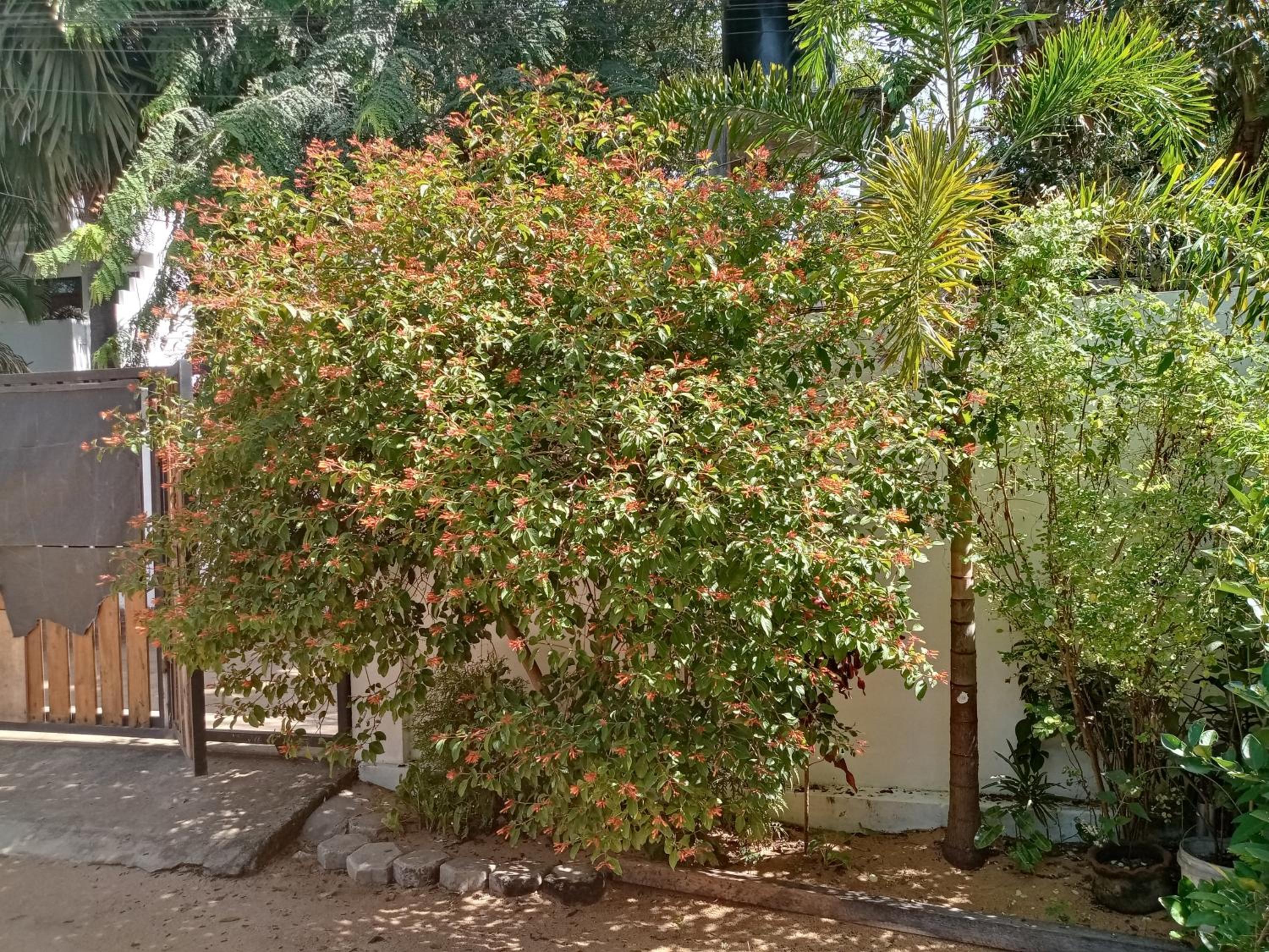 Photo 23
