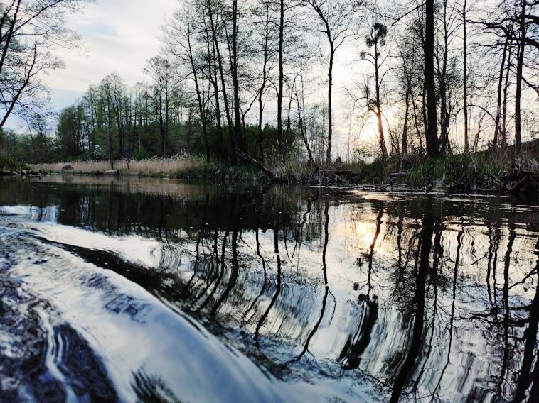 Oaza nad Krutynią