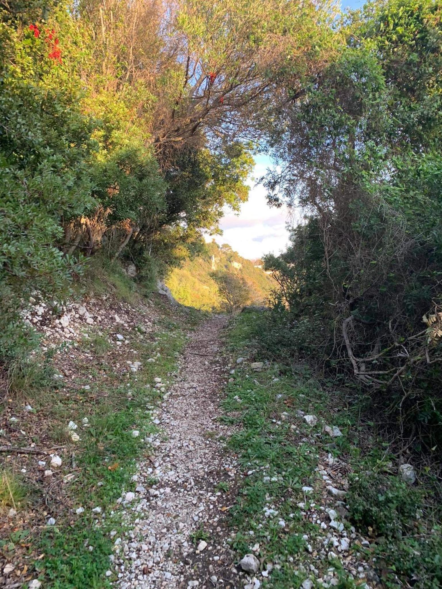 Photo 17