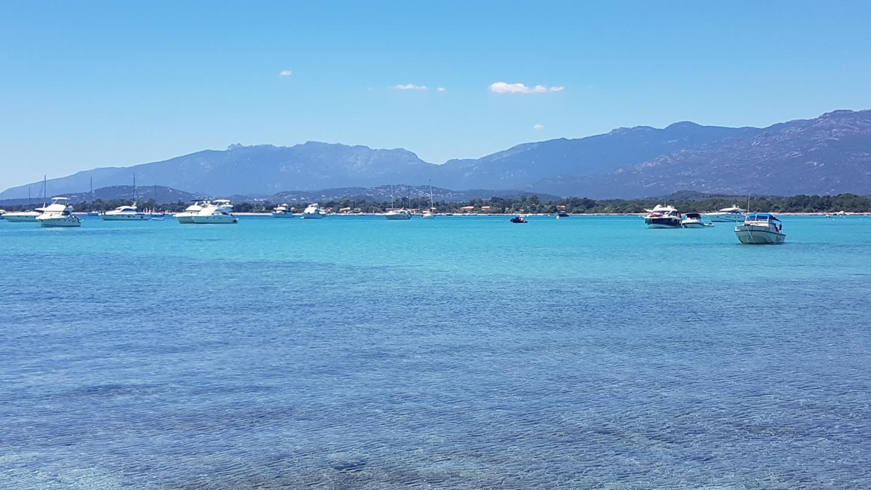 Apartment 500 m from the sea in Porto Vecchio from 77 per night view 2