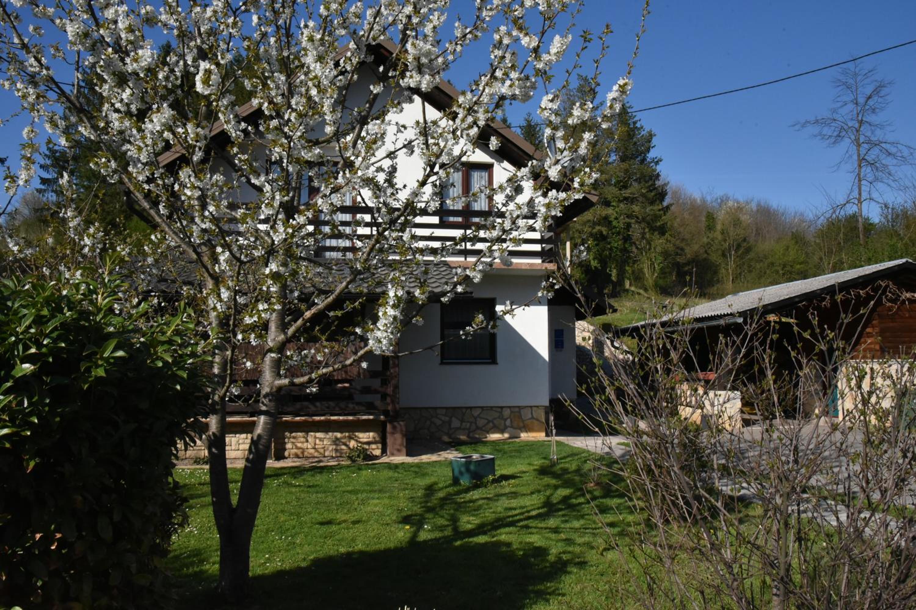 Photo 11