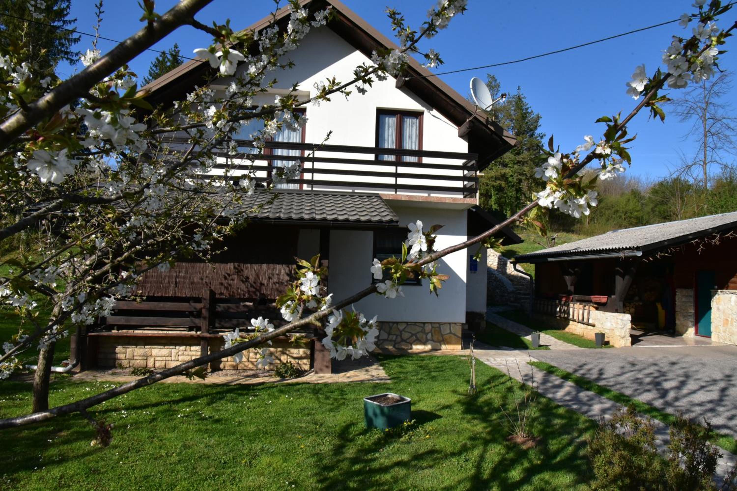 Photo 10