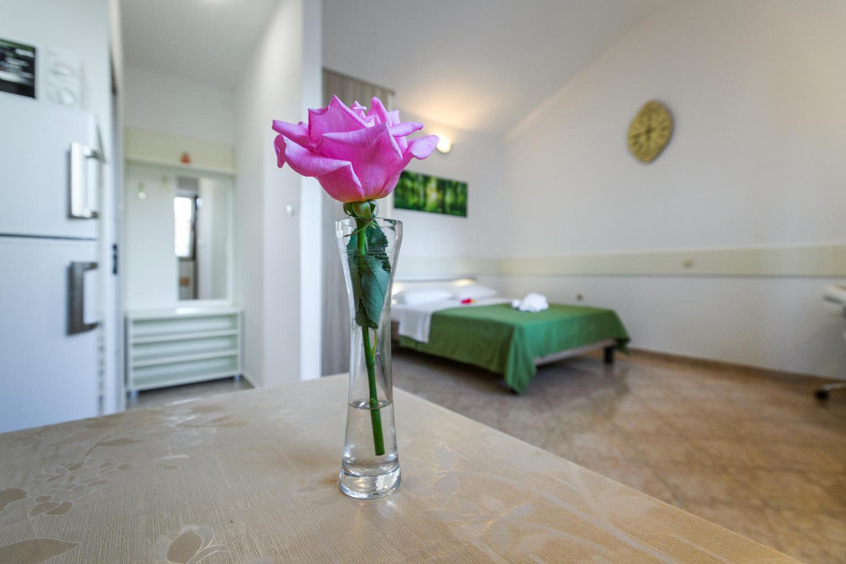 Apartmani Nena