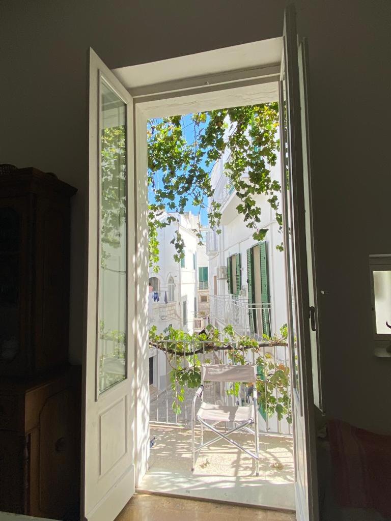 NOVECENTO view 3