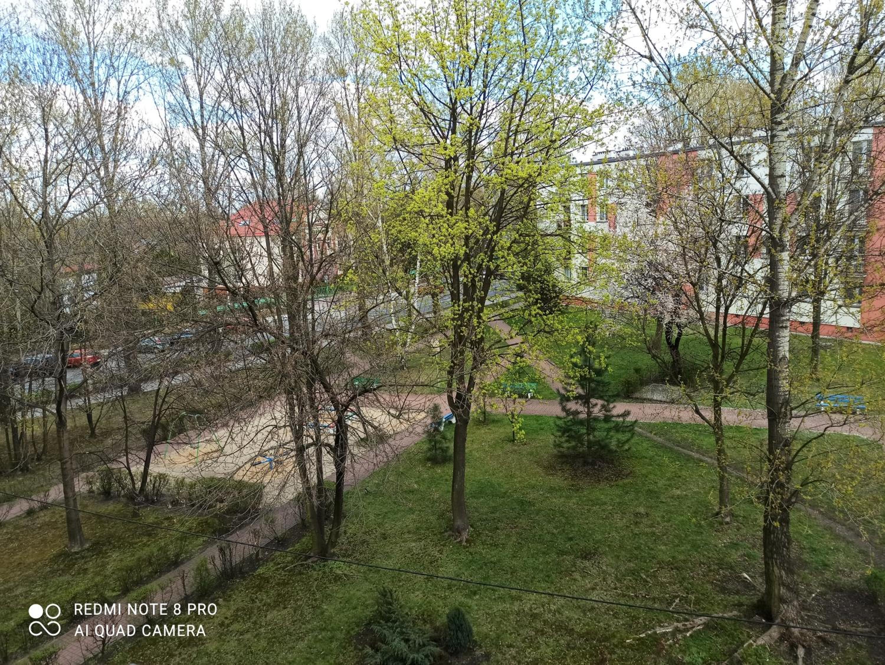 Studio Park Śląski m.10 Katowice/Chorzów