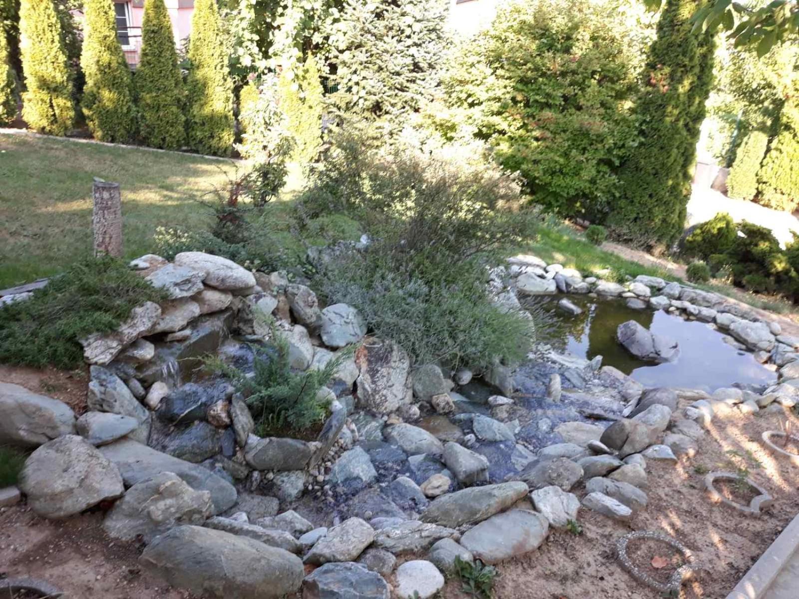 Photo 41