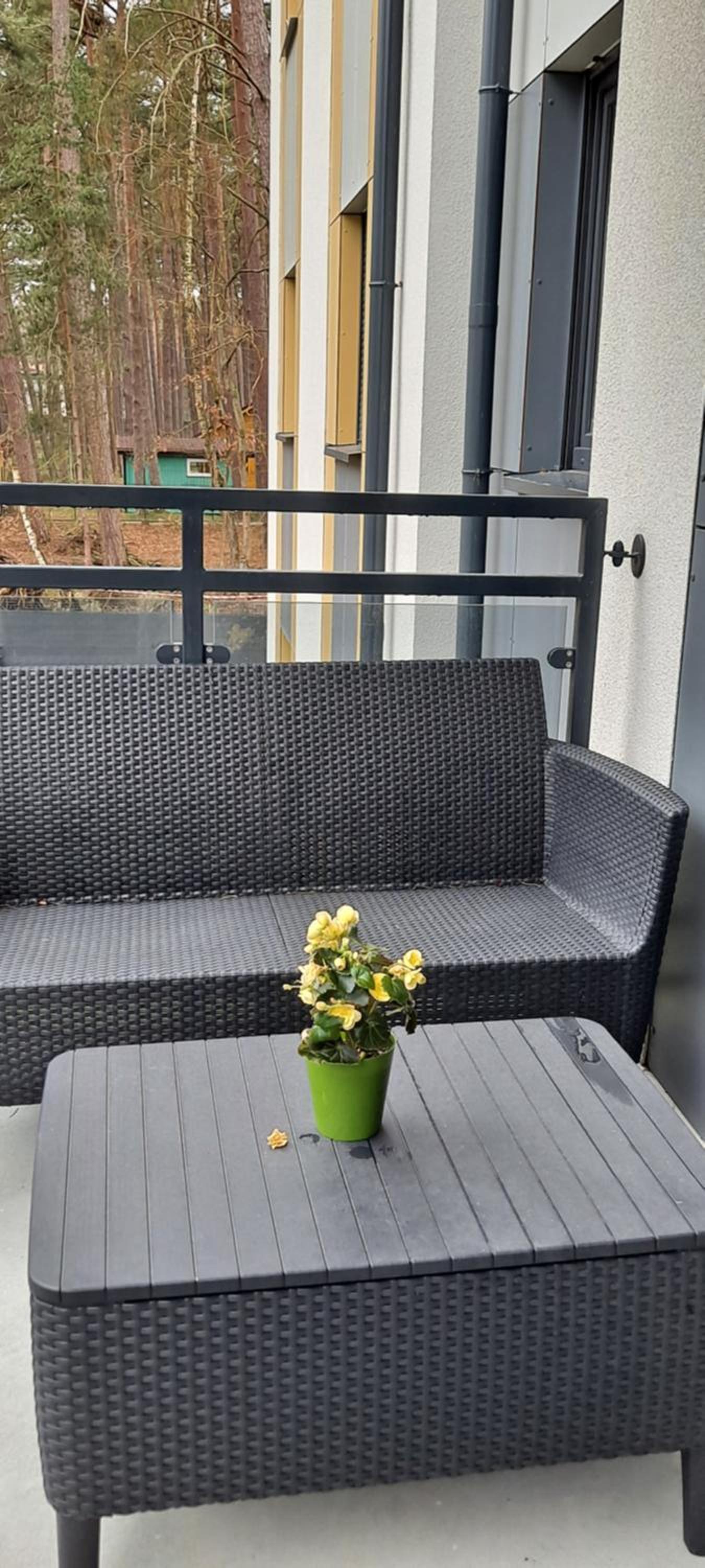 Green Apartment Międzywodzie