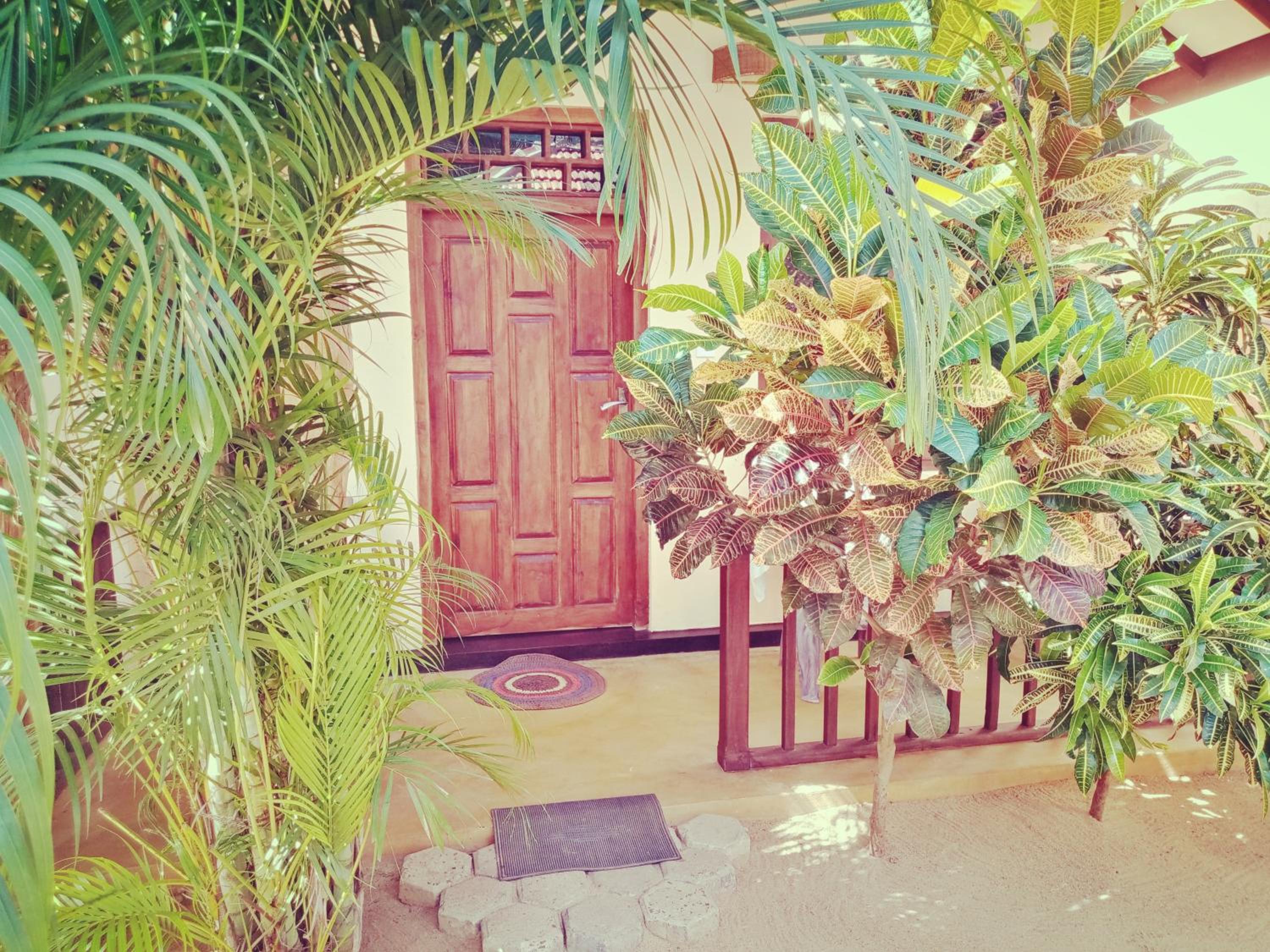Surf N Relax Abay view 4