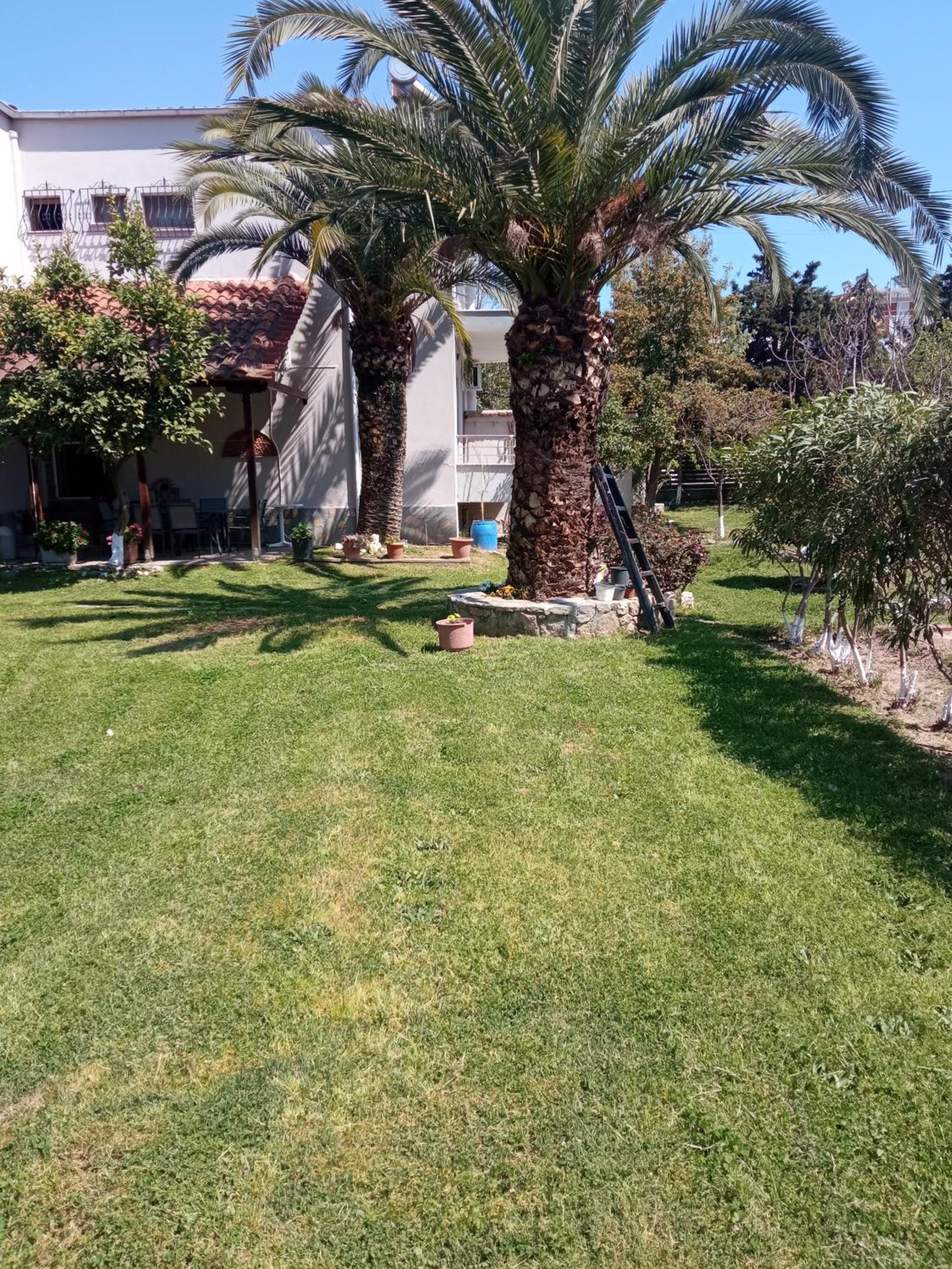 Sofia's Garden
