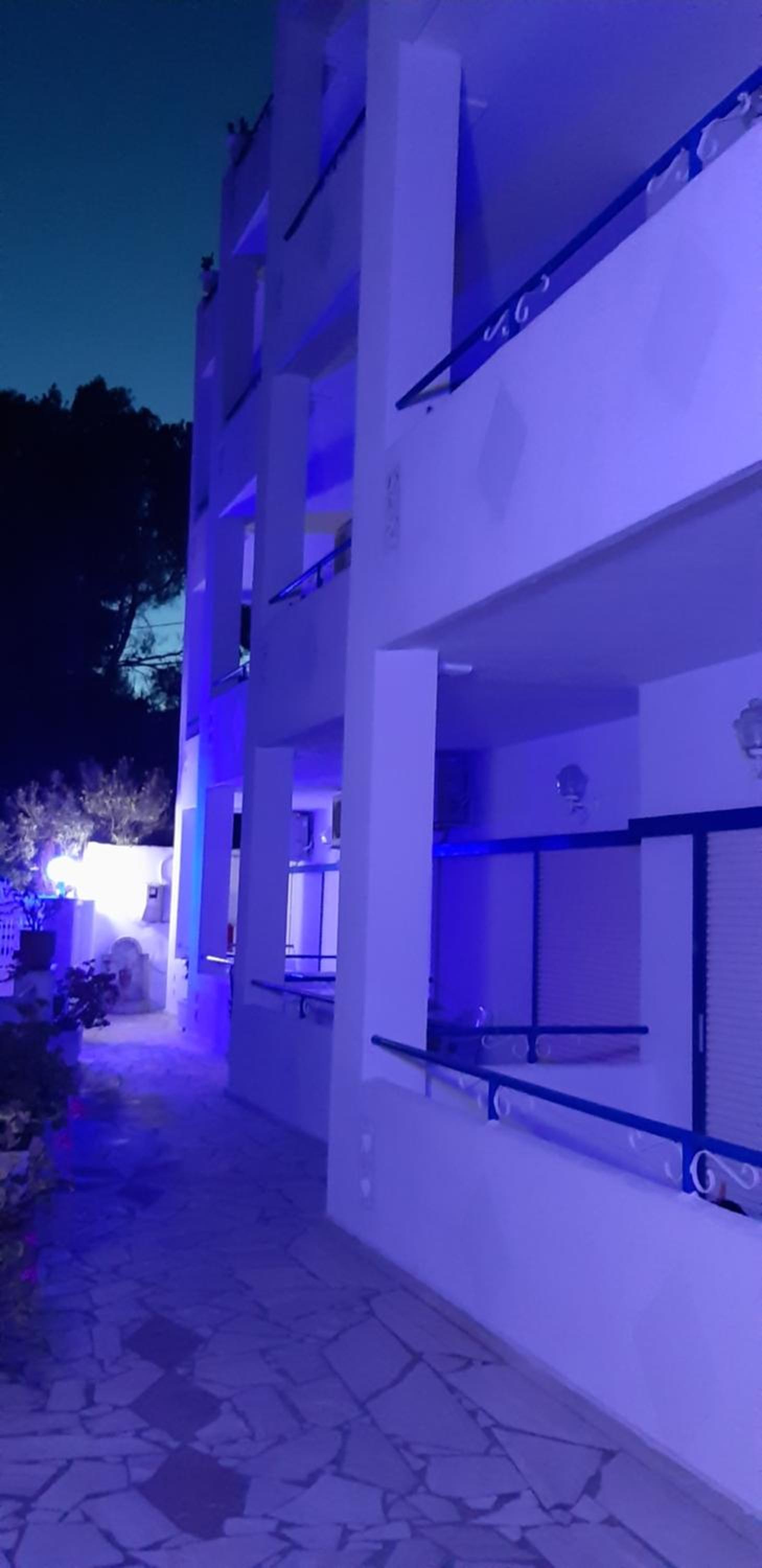 blue & white askeli studios