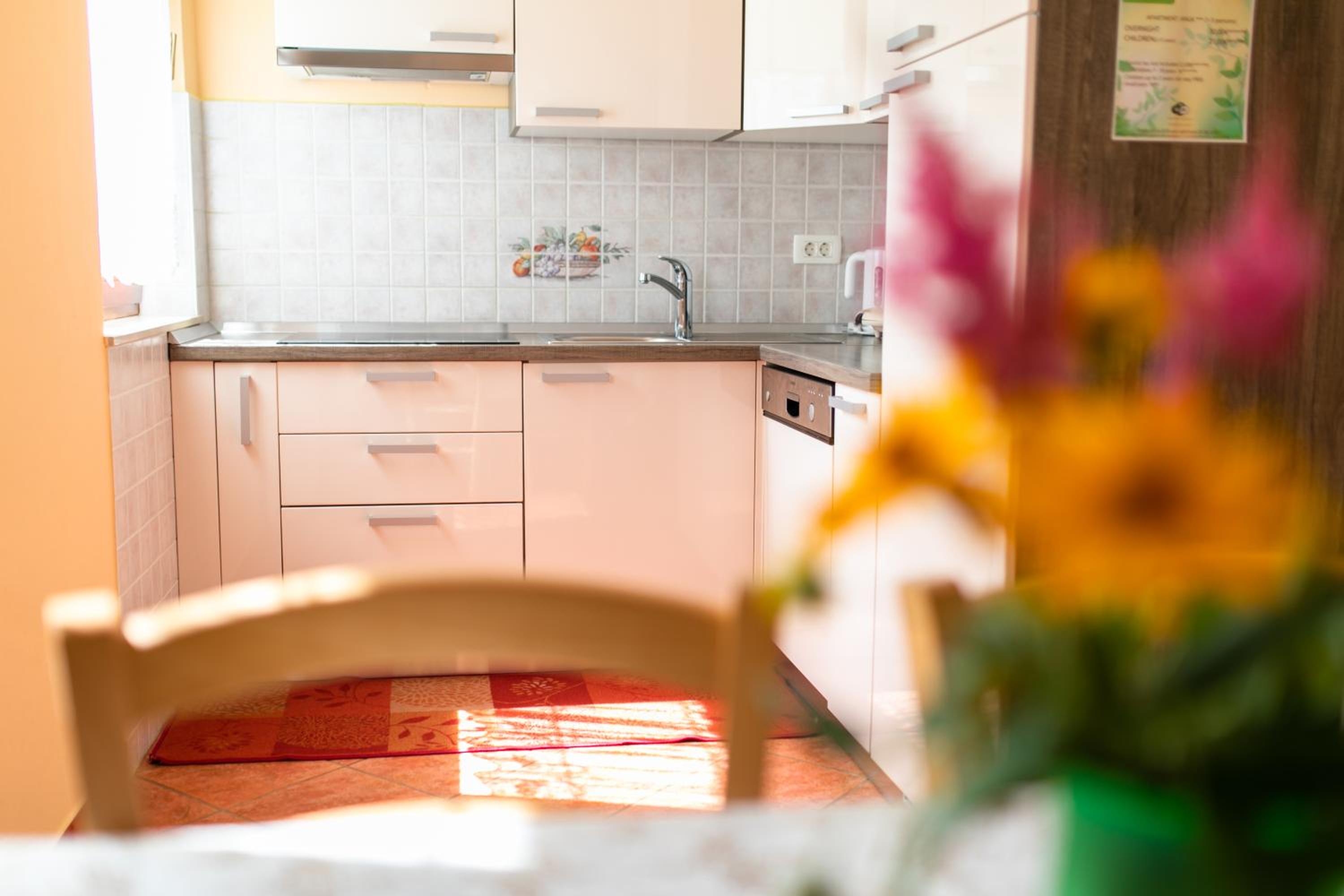 APARTMA JANJA