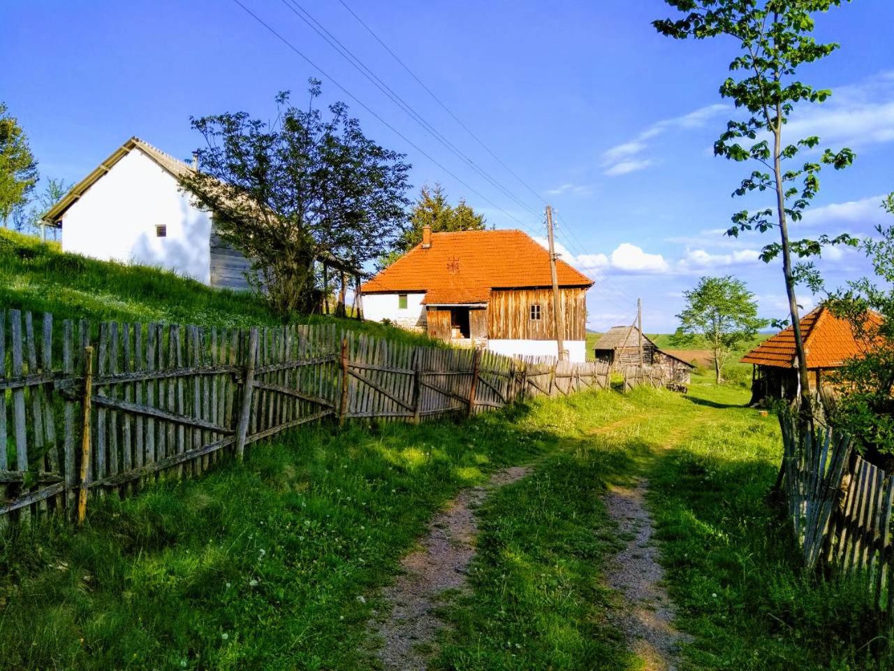 Photo 8